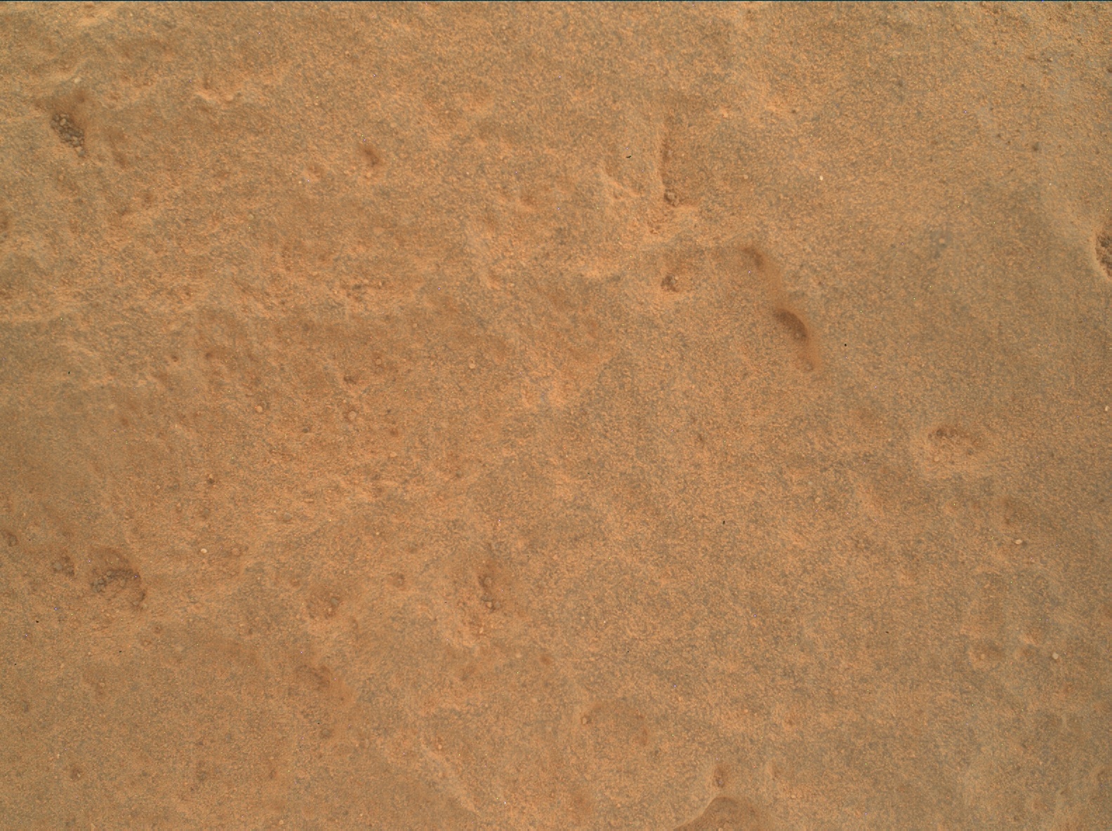 Nasa's Mars rover Curiosity acquired this image using its Mars Hand Lens Imager (MAHLI) on Sol 3449