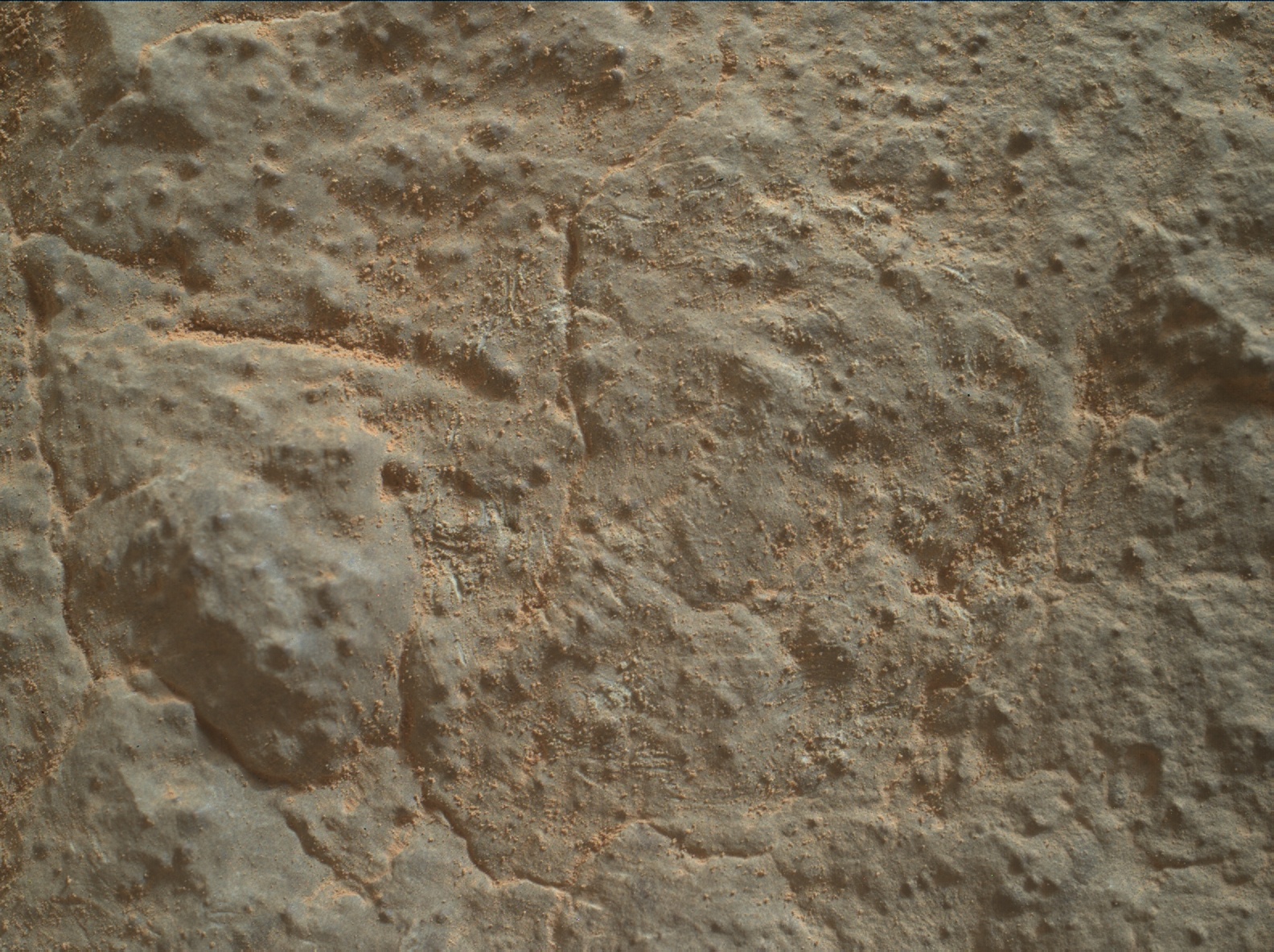 Nasa's Mars rover Curiosity acquired this image using its Mars Hand Lens Imager (MAHLI) on Sol 3453