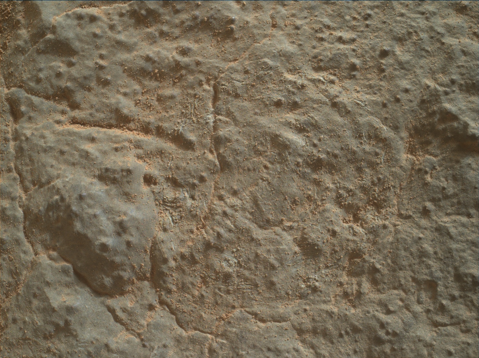 Nasa's Mars rover Curiosity acquired this image using its Mars Hand Lens Imager (MAHLI) on Sol 3454