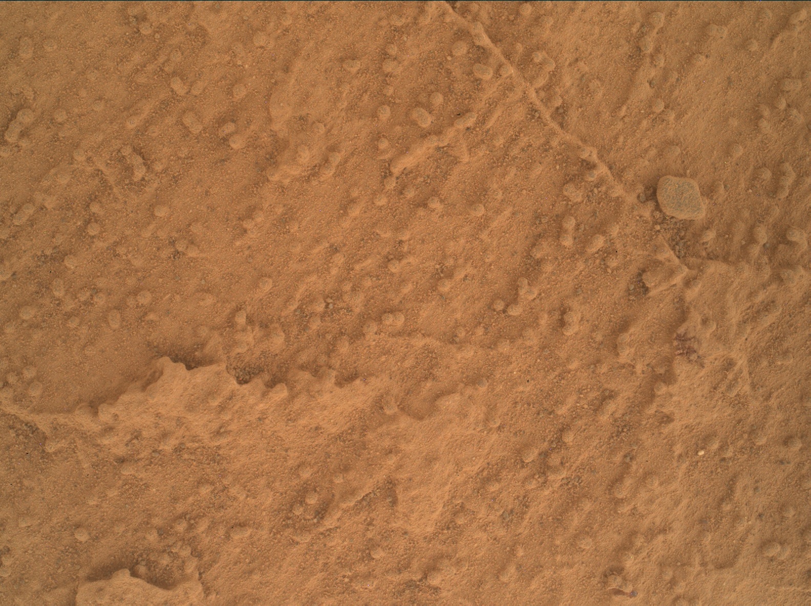 Nasa's Mars rover Curiosity acquired this image using its Mars Hand Lens Imager (MAHLI) on Sol 3456