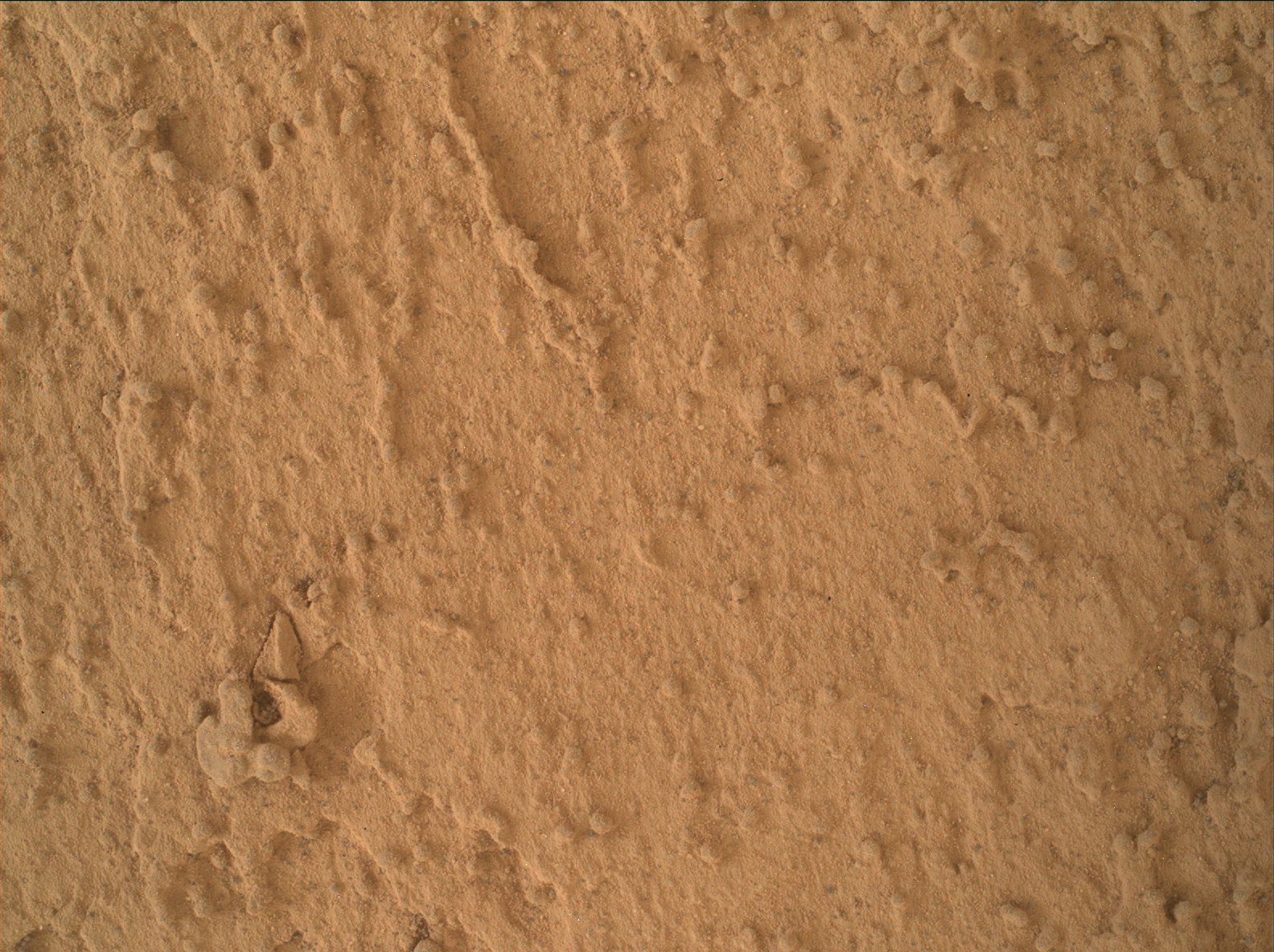 Nasa's Mars rover Curiosity acquired this image using its Mars Hand Lens Imager (MAHLI) on Sol 3466