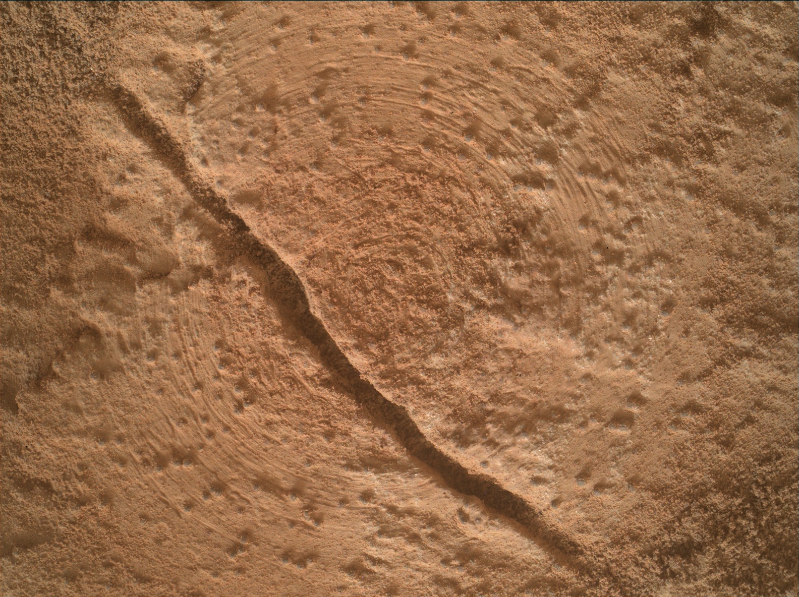 Nasa's Mars rover Curiosity acquired this image using its Mars Hand Lens Imager (MAHLI) on Sol 3474