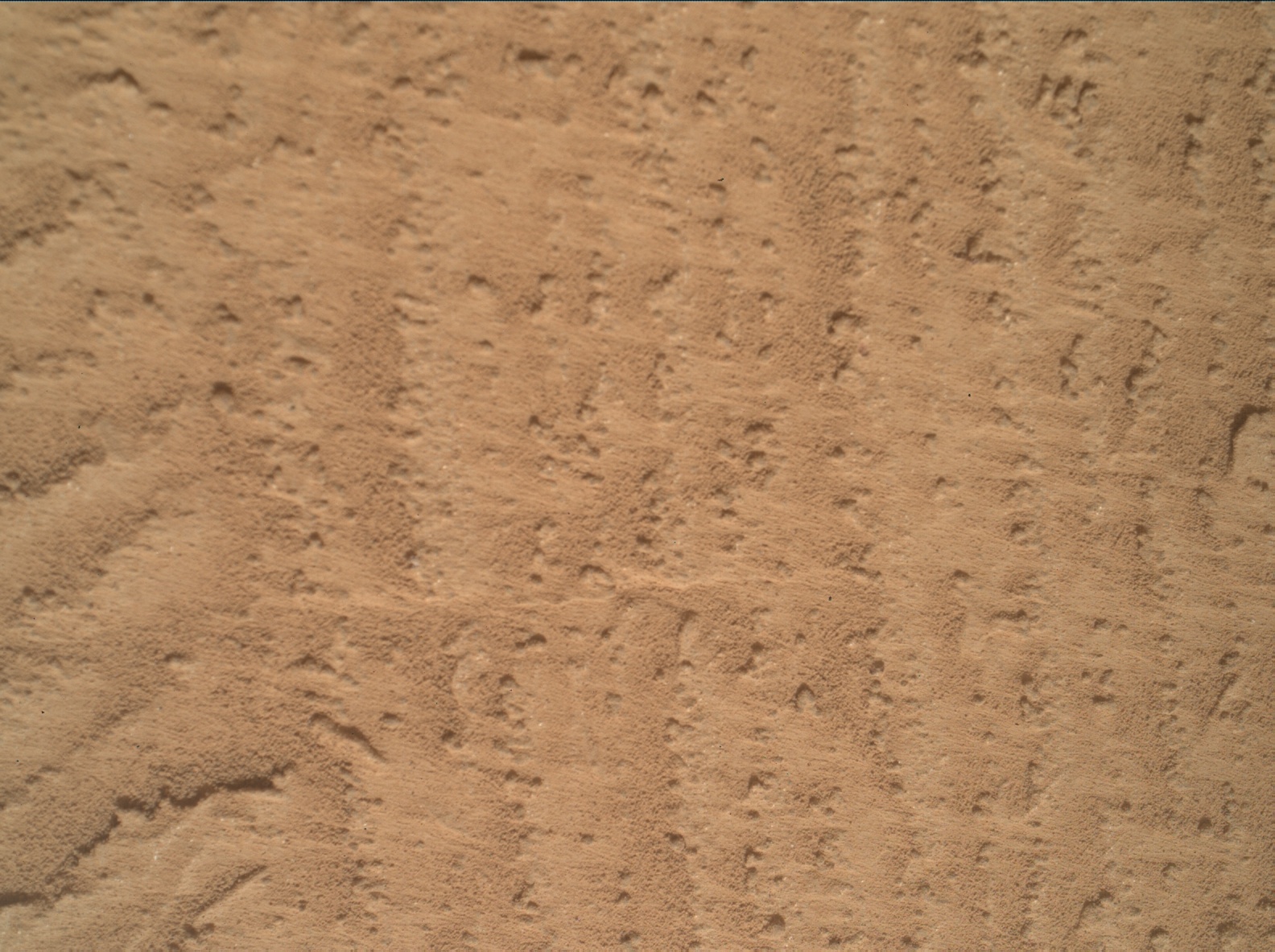 Nasa's Mars rover Curiosity acquired this image using its Mars Hand Lens Imager (MAHLI) on Sol 3478