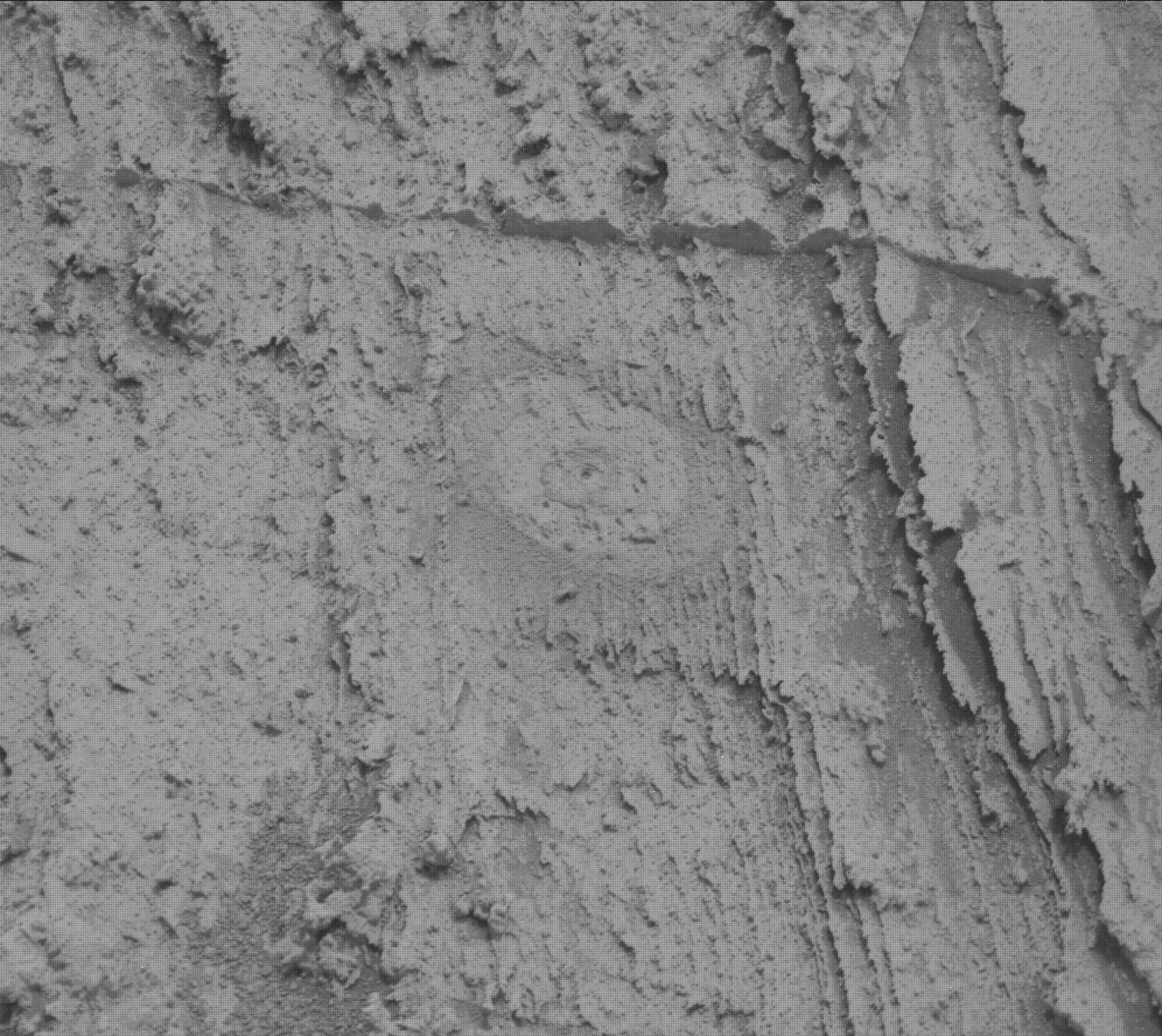 Nasa's Mars rover Curiosity acquired this image using its Mast Camera (Mastcam) on Sol 3481