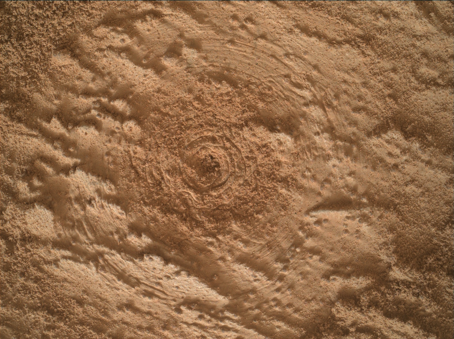 Nasa's Mars rover Curiosity acquired this image using its Mars Hand Lens Imager (MAHLI) on Sol 3481