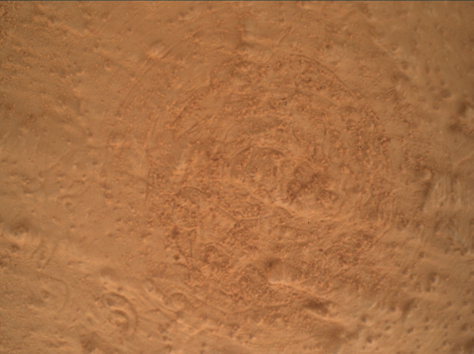 Nasa's Mars rover Curiosity acquired this image using its Mars Hand Lens Imager (MAHLI) on Sol 3483