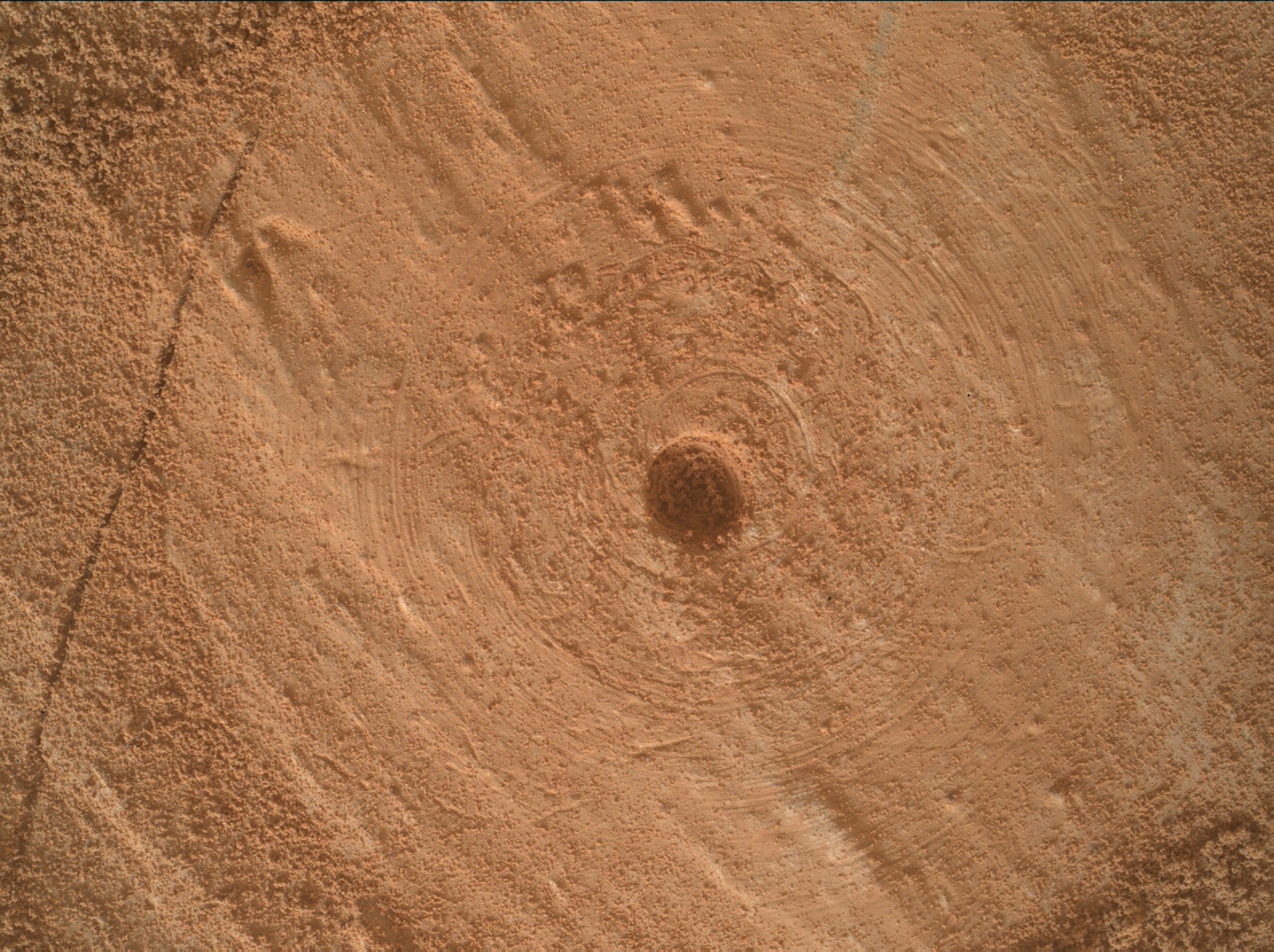 Nasa's Mars rover Curiosity acquired this image using its Mars Hand Lens Imager (MAHLI) on Sol 3491