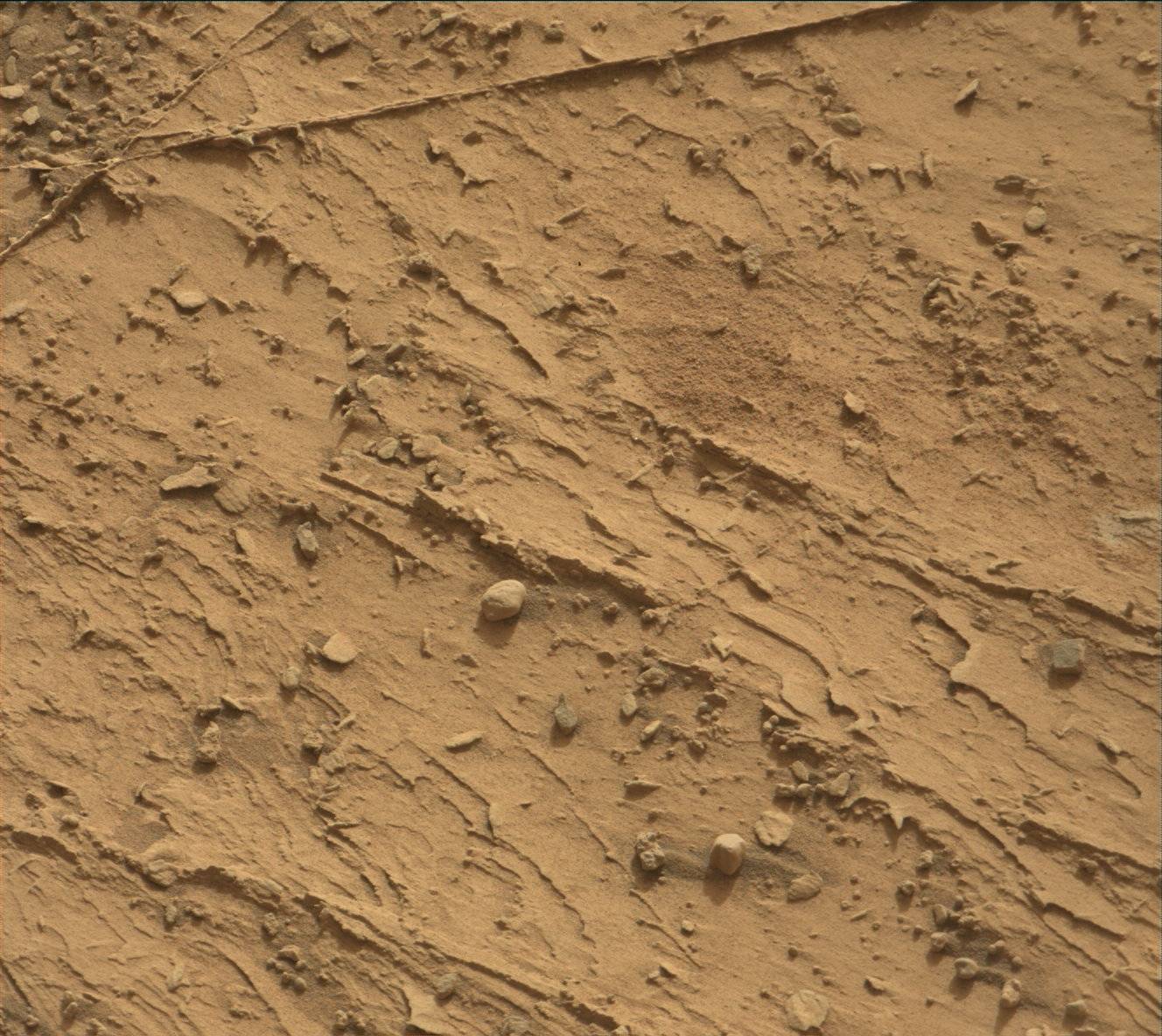 Nasa's Mars rover Curiosity acquired this image using its Mast Camera (Mastcam) on Sol 3528