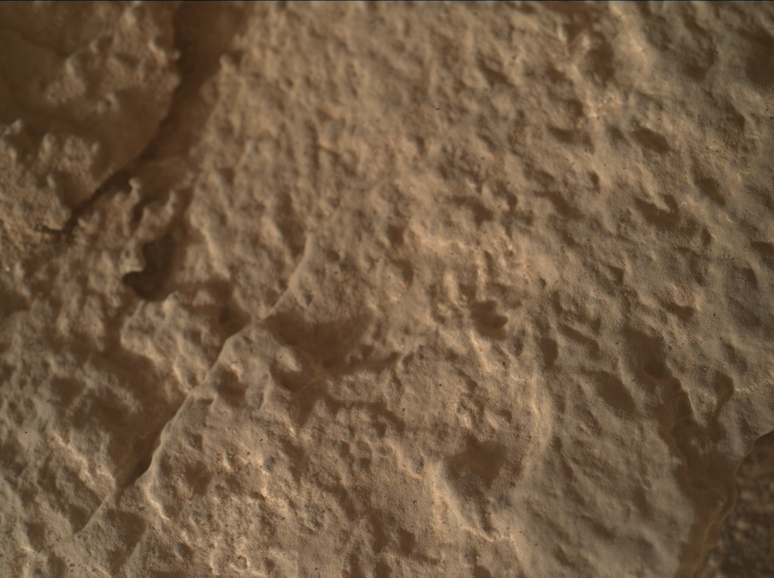 Nasa's Mars rover Curiosity acquired this image using its Mars Hand Lens Imager (MAHLI) on Sol 3532