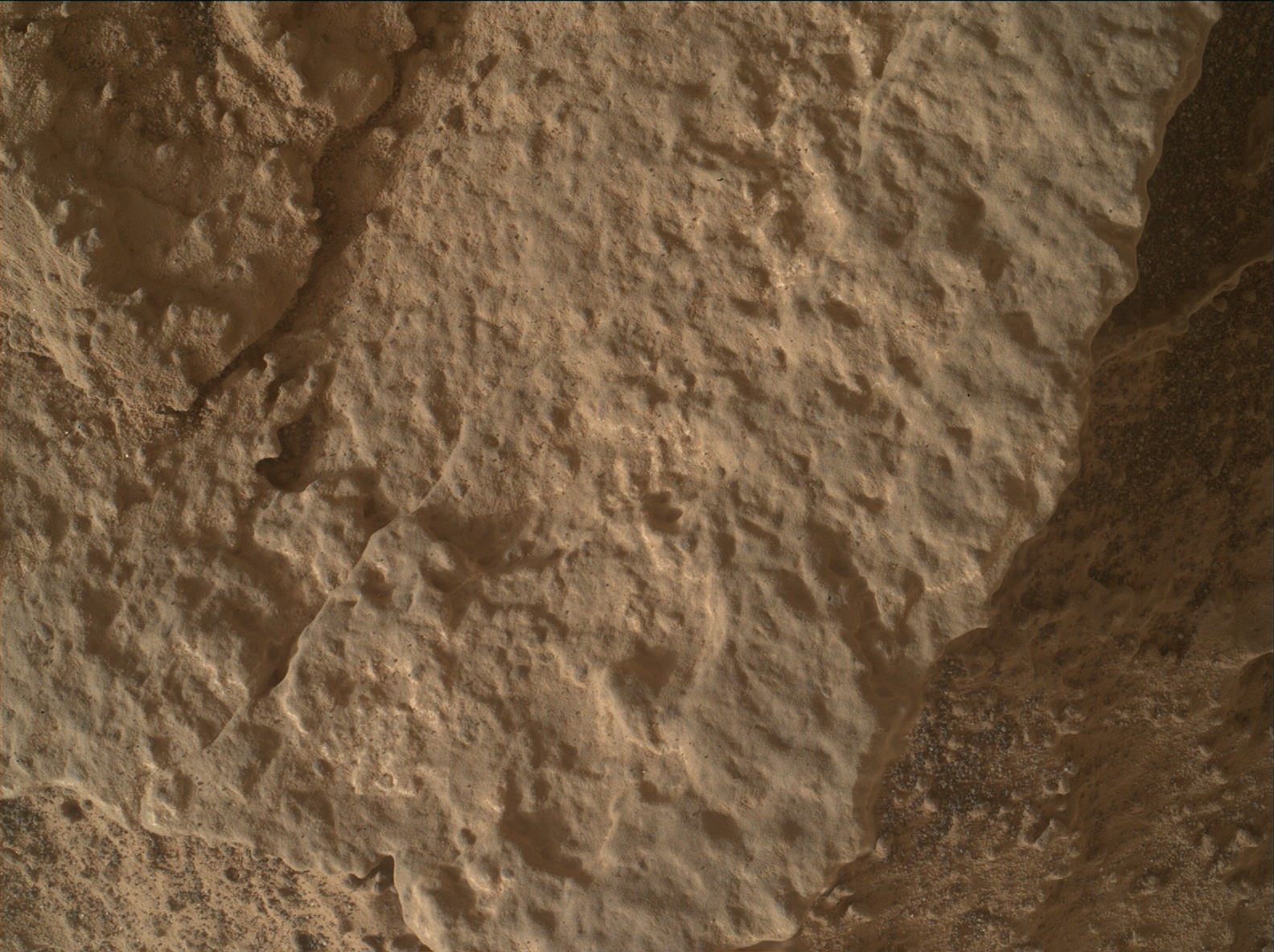 Nasa's Mars rover Curiosity acquired this image using its Mars Hand Lens Imager (MAHLI) on Sol 3533