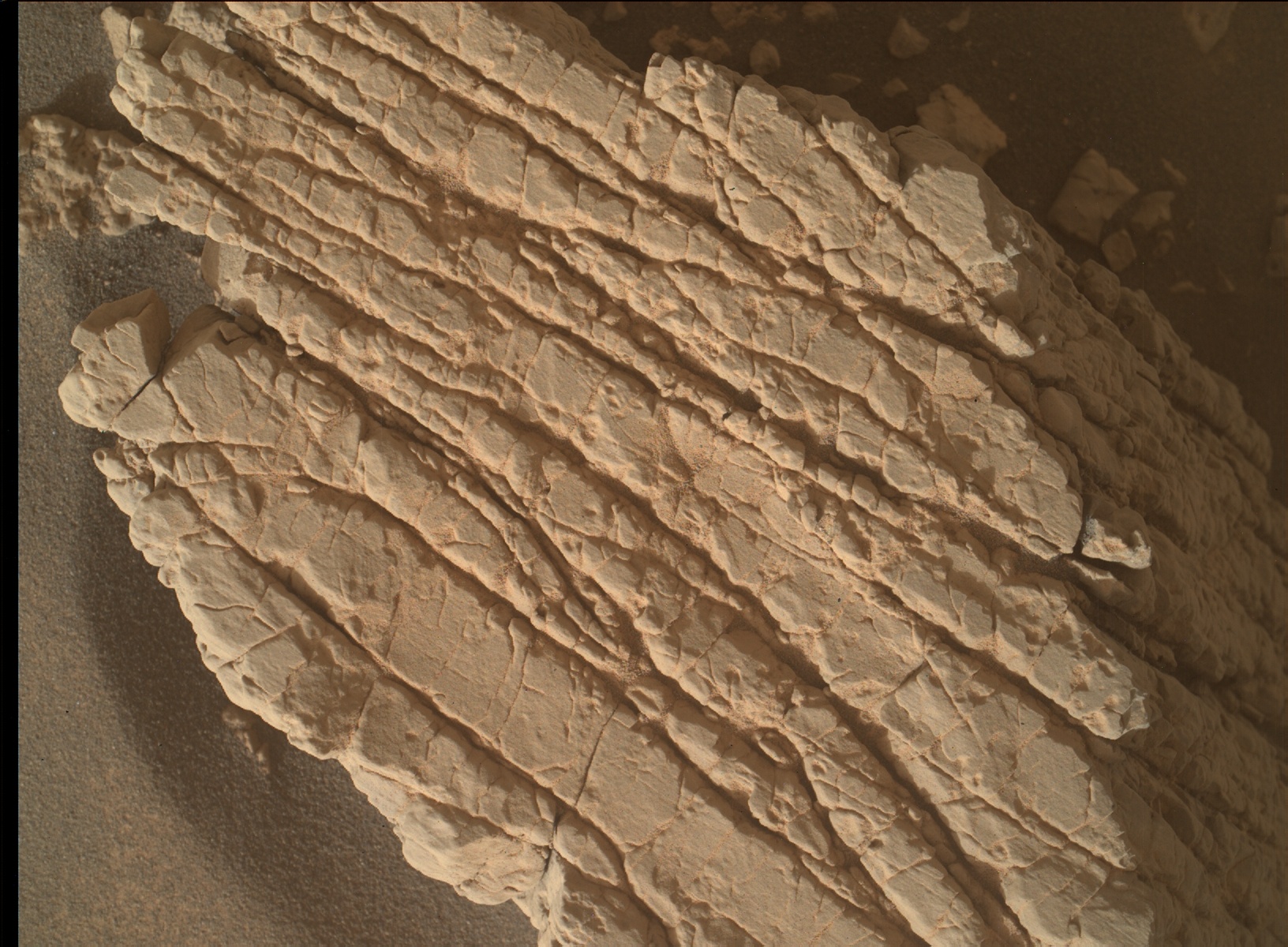 Nasa's Mars rover Curiosity acquired this image using its Mars Hand Lens Imager (MAHLI) on Sol 3534