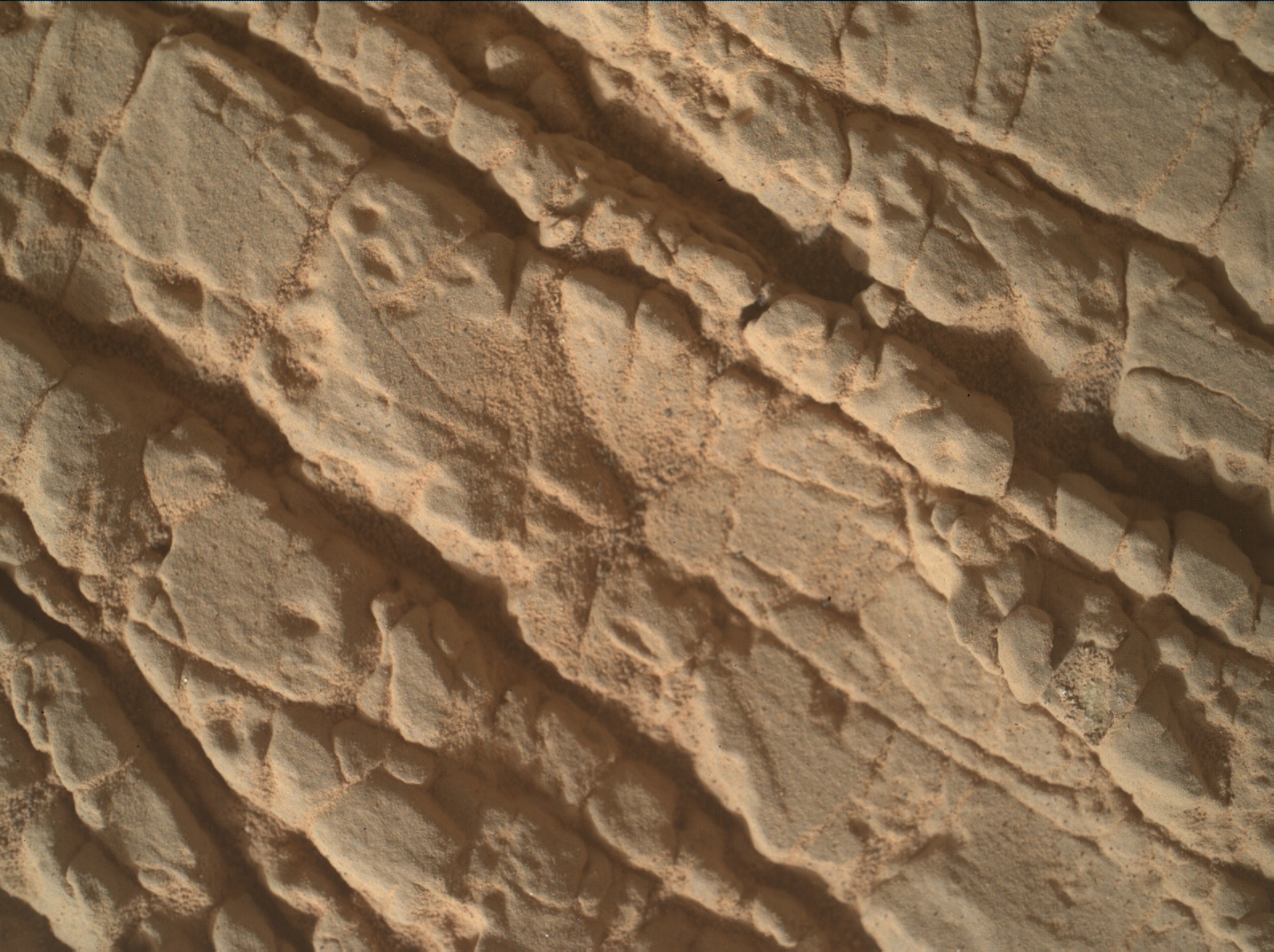 Nasa's Mars rover Curiosity acquired this image using its Mars Hand Lens Imager (MAHLI) on Sol 3534