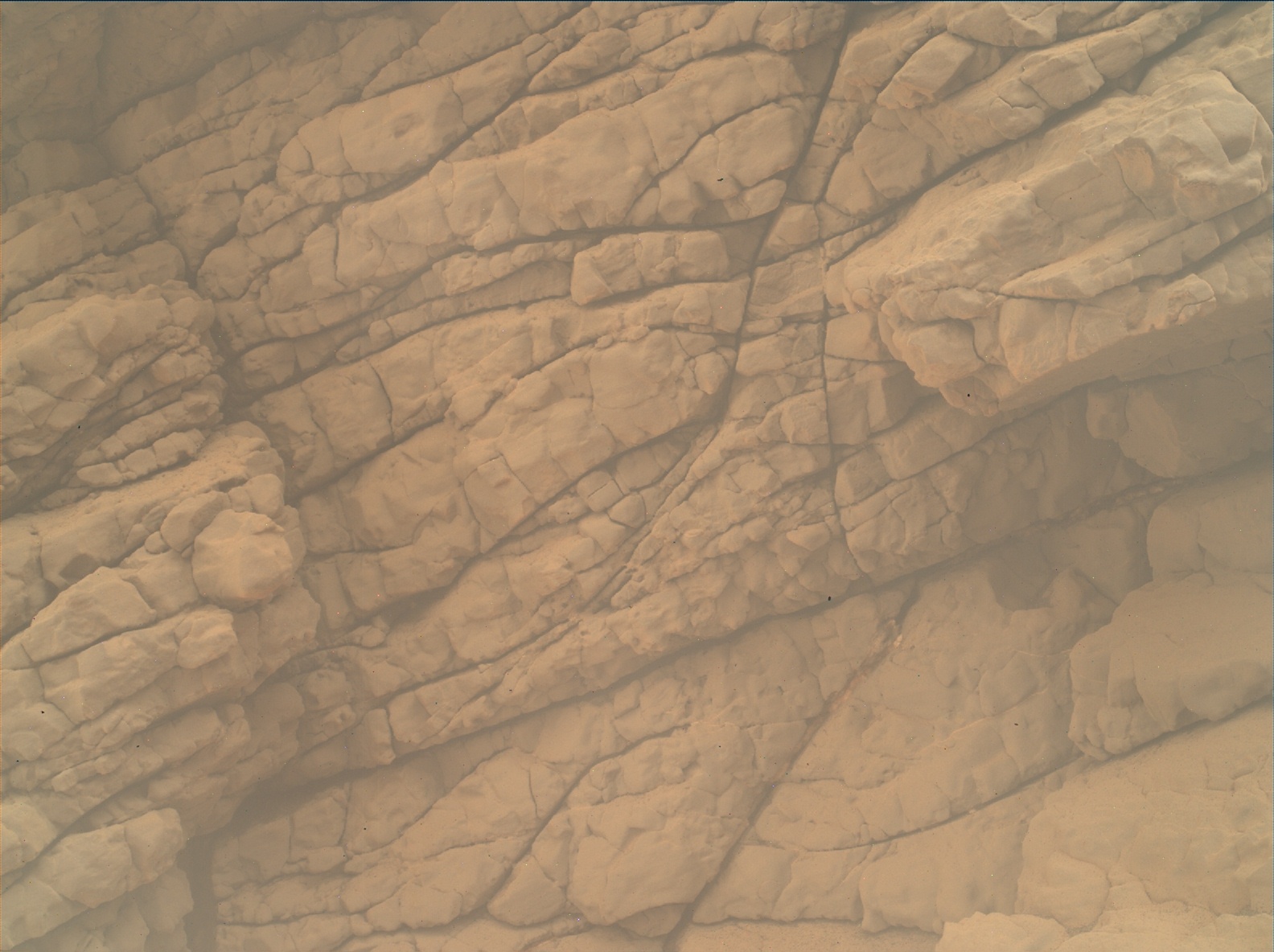 Nasa's Mars rover Curiosity acquired this image using its Mars Hand Lens Imager (MAHLI) on Sol 3536
