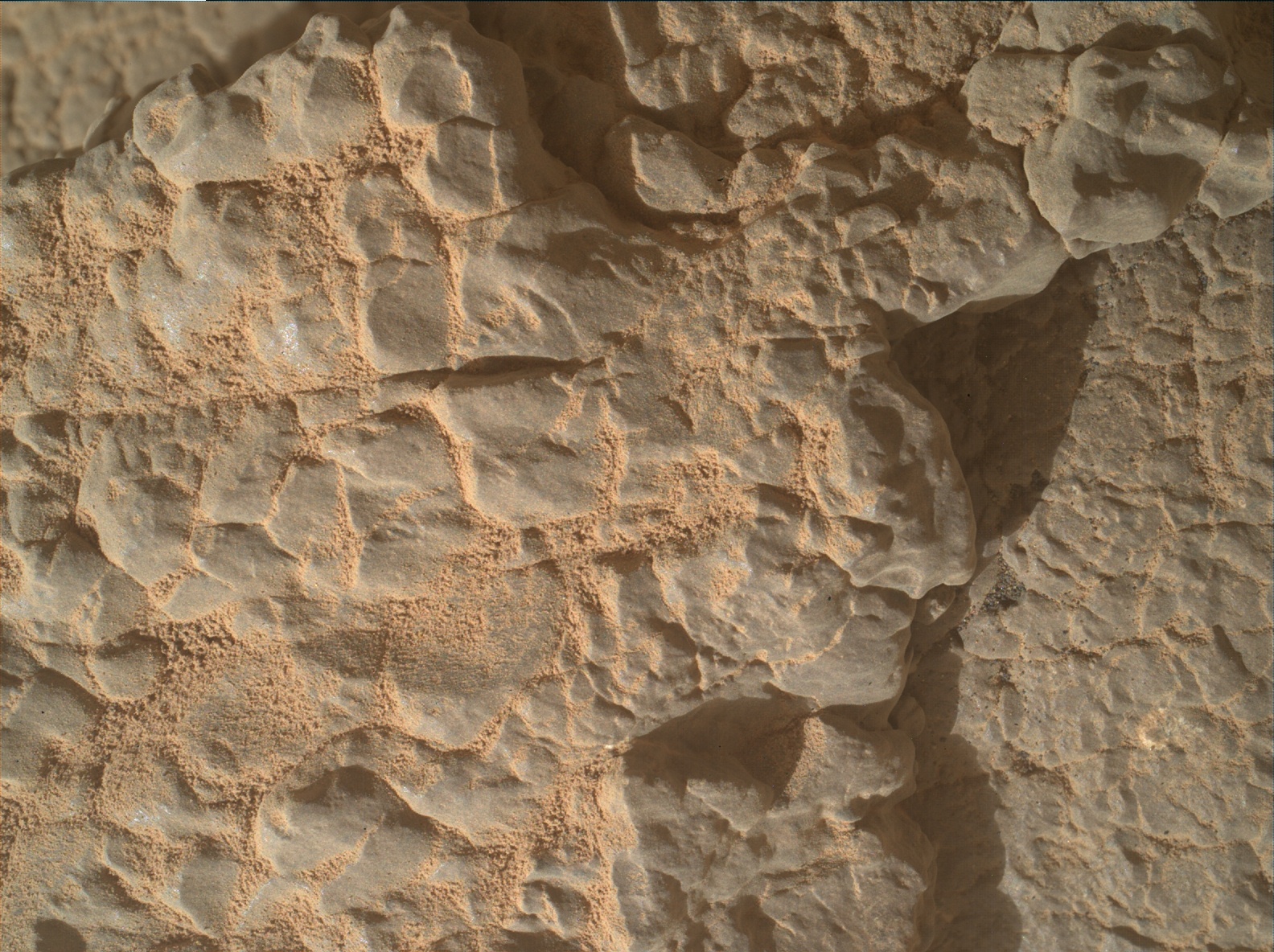 Nasa's Mars rover Curiosity acquired this image using its Mars Hand Lens Imager (MAHLI) on Sol 3540