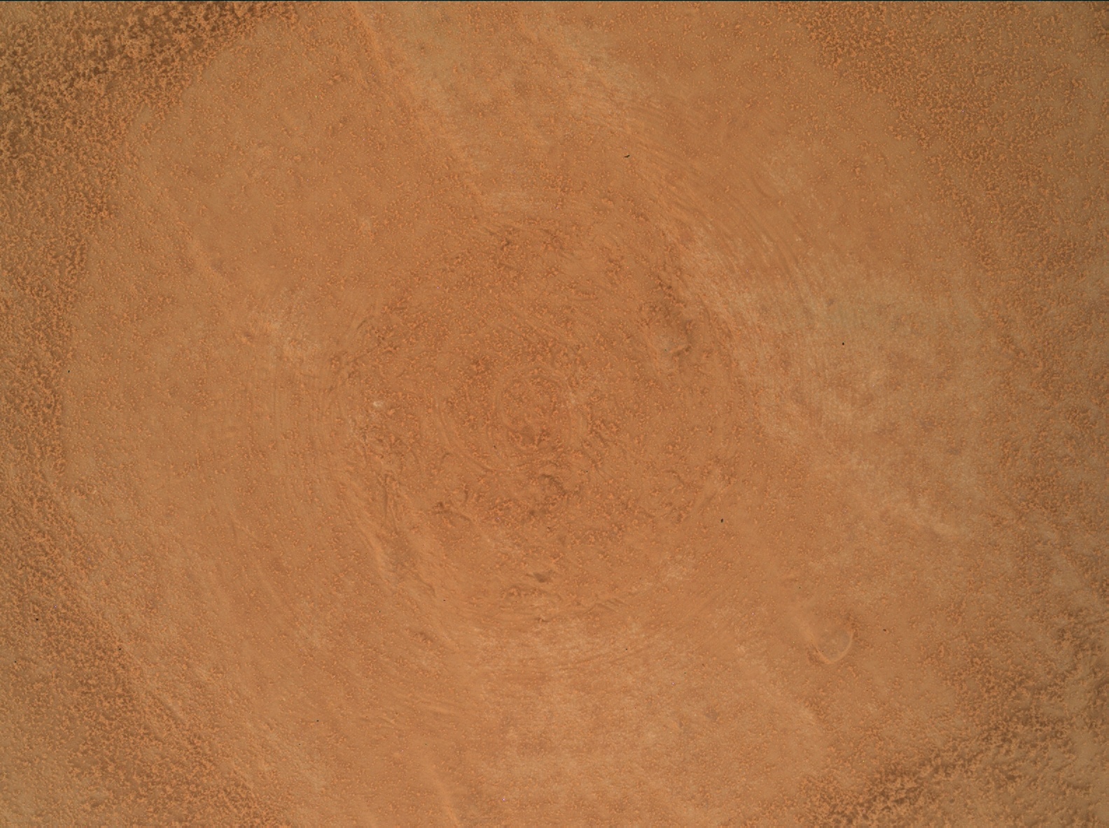 Nasa's Mars rover Curiosity acquired this image using its Mars Hand Lens Imager (MAHLI) on Sol 3546