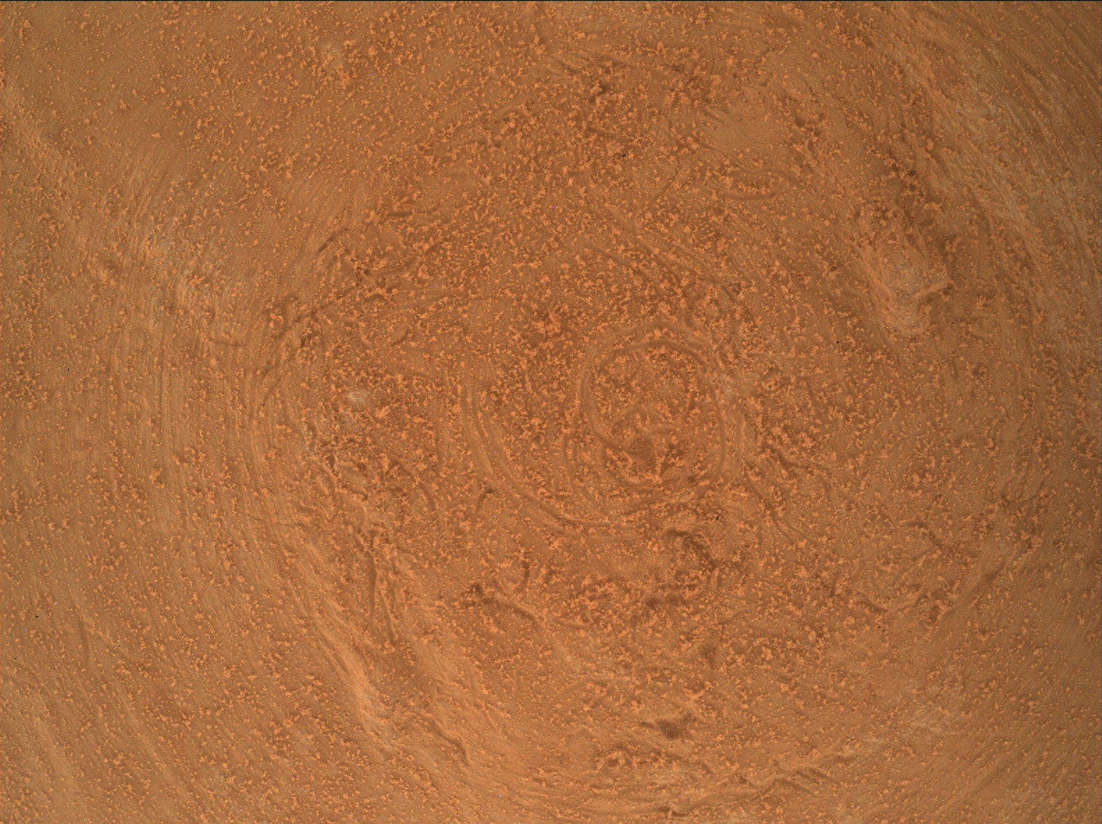 Nasa's Mars rover Curiosity acquired this image using its Mars Hand Lens Imager (MAHLI) on Sol 3547