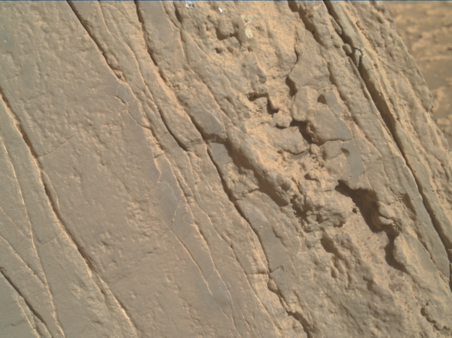 Nasa's Mars rover Curiosity acquired this image using its Mars Hand Lens Imager (MAHLI) on Sol 3553