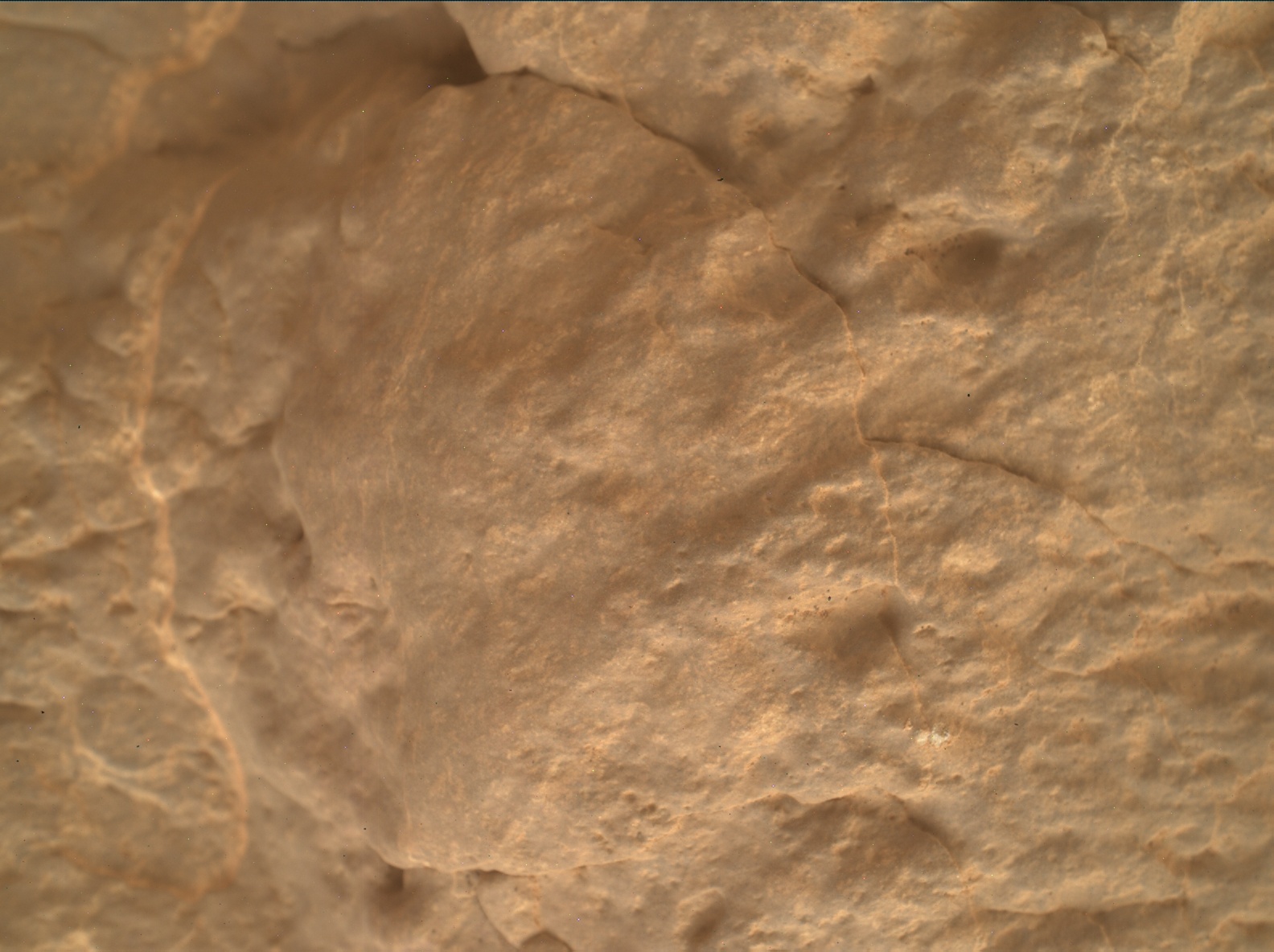 Nasa's Mars rover Curiosity acquired this image using its Mars Hand Lens Imager (MAHLI) on Sol 3555