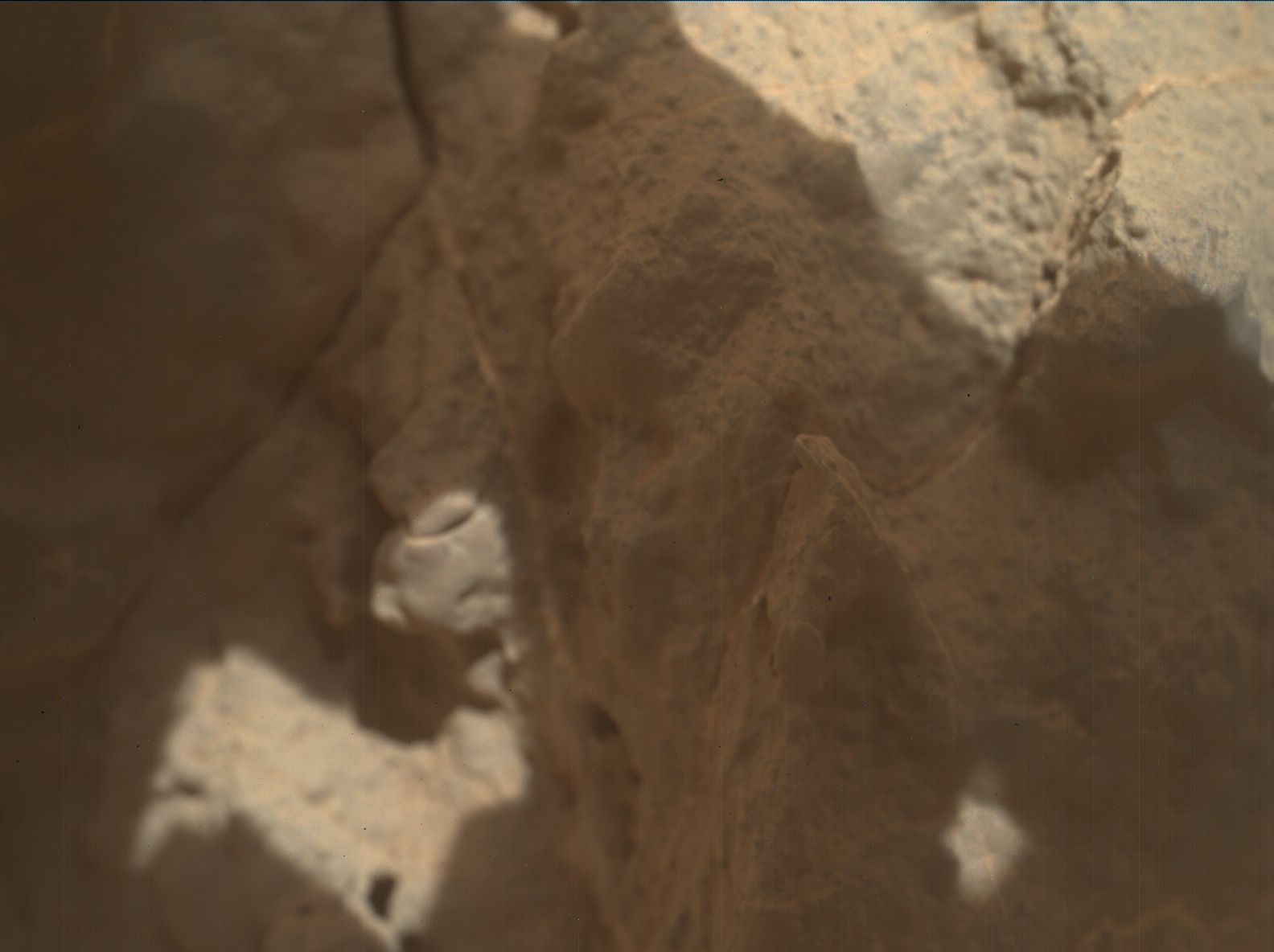 Nasa's Mars rover Curiosity acquired this image using its Mars Hand Lens Imager (MAHLI) on Sol 3558