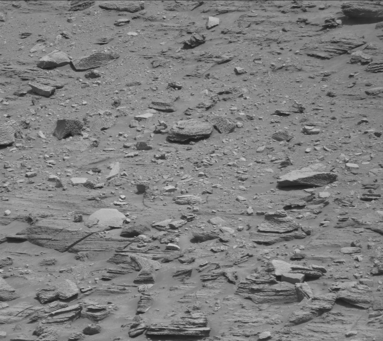 Nasa's Mars rover Curiosity acquired this image using its Mast Camera (Mastcam) on Sol 3560