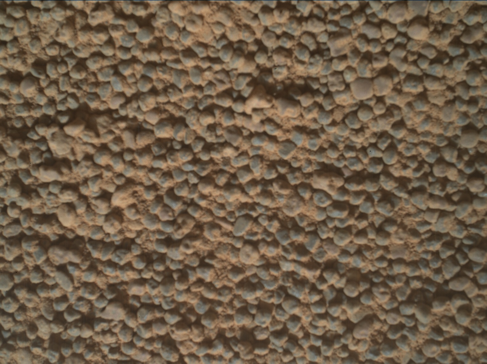 Nasa's Mars rover Curiosity acquired this image using its Mars Hand Lens Imager (MAHLI) on Sol 3562