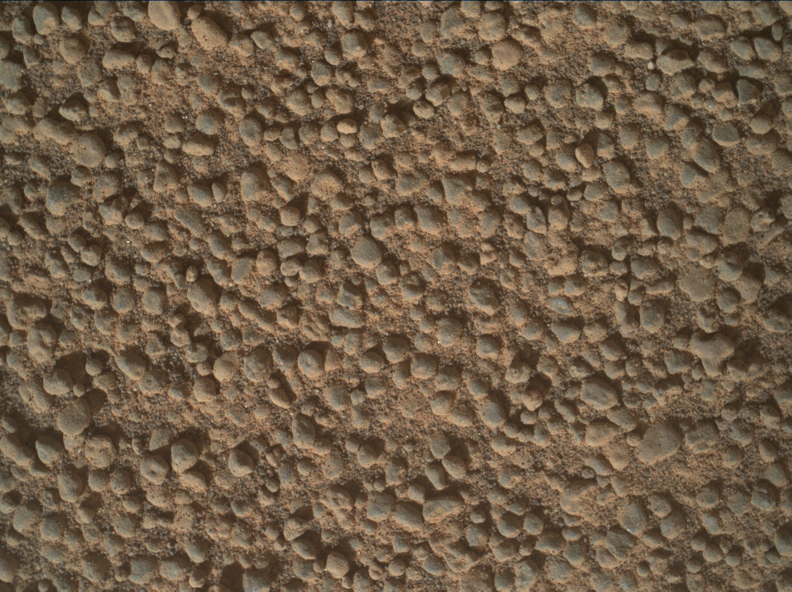 Nasa's Mars rover Curiosity acquired this image using its Mars Hand Lens Imager (MAHLI) on Sol 3566