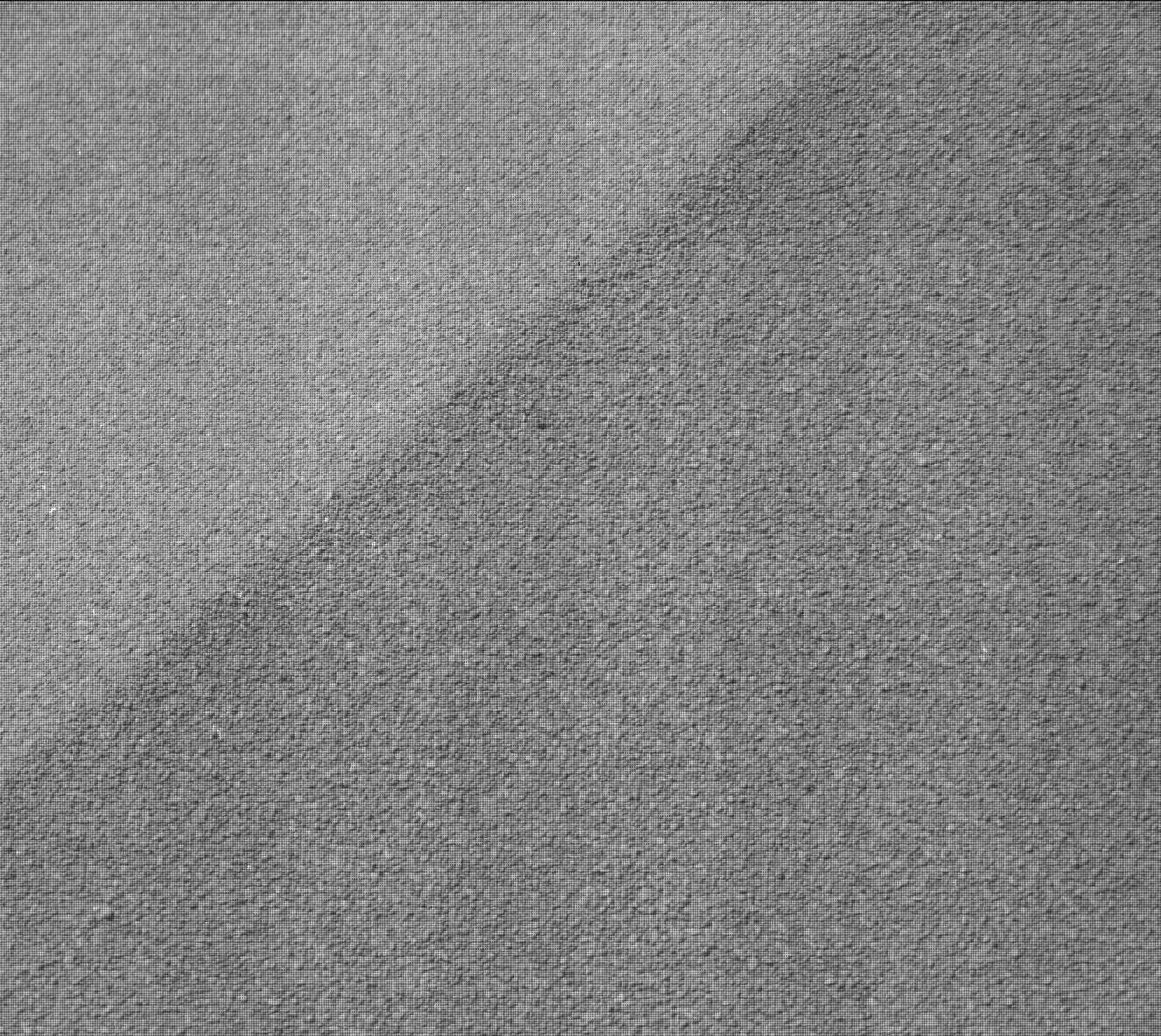 Nasa's Mars rover Curiosity acquired this image using its Mast Camera (Mastcam) on Sol 3567