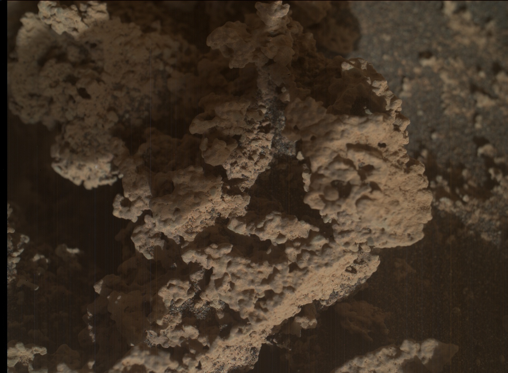 Nasa's Mars rover Curiosity acquired this image using its Mars Hand Lens Imager (MAHLI) on Sol 3568