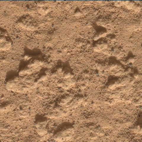 Nasa's Mars rover Curiosity acquired this image using its Mars Hand Lens Imager (MAHLI) on Sol 3575