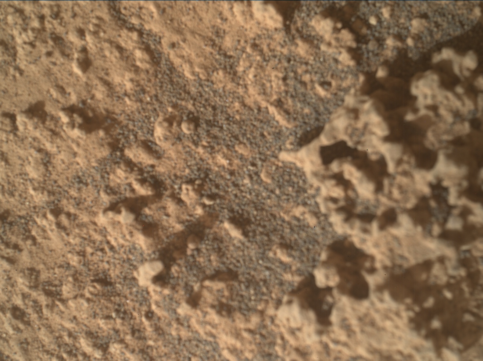 Nasa's Mars rover Curiosity acquired this image using its Mars Hand Lens Imager (MAHLI) on Sol 3575