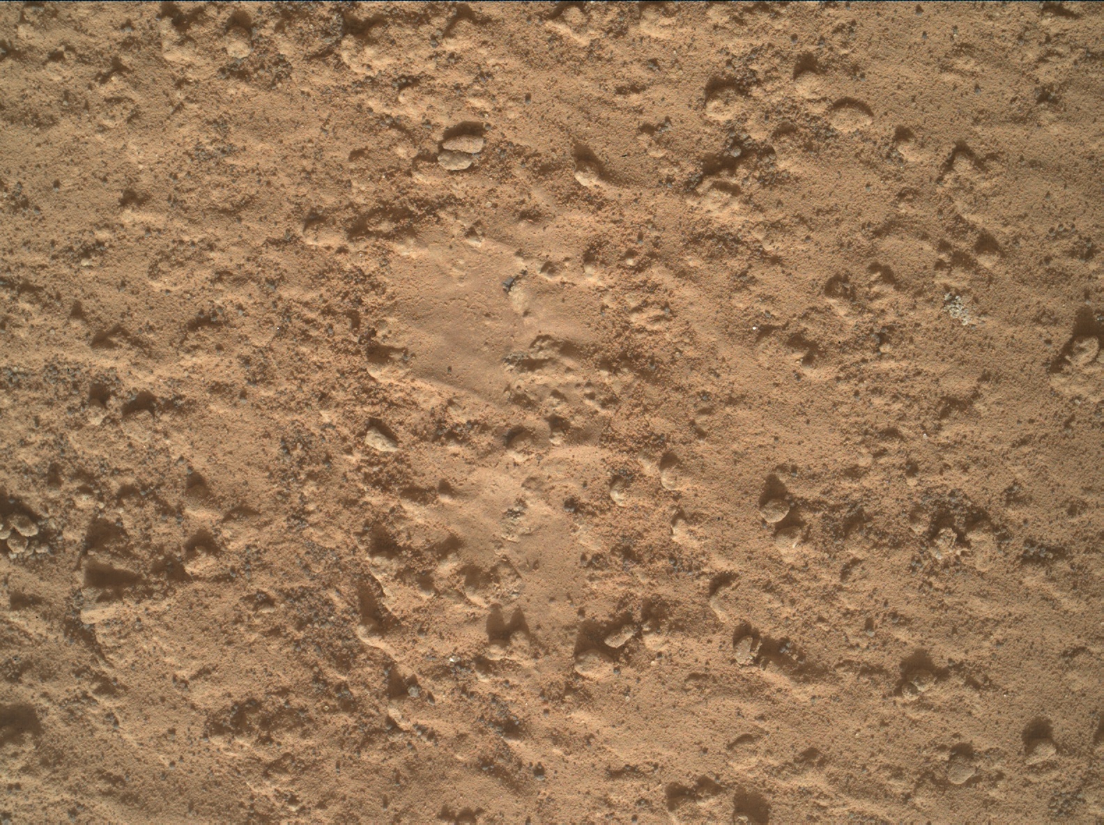 Nasa's Mars rover Curiosity acquired this image using its Mars Hand Lens Imager (MAHLI) on Sol 3578
