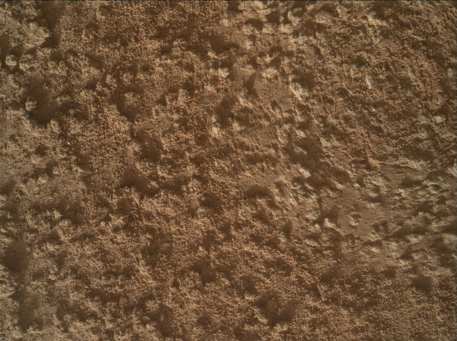 Nasa's Mars rover Curiosity acquired this image using its Mars Hand Lens Imager (MAHLI) on Sol 3578