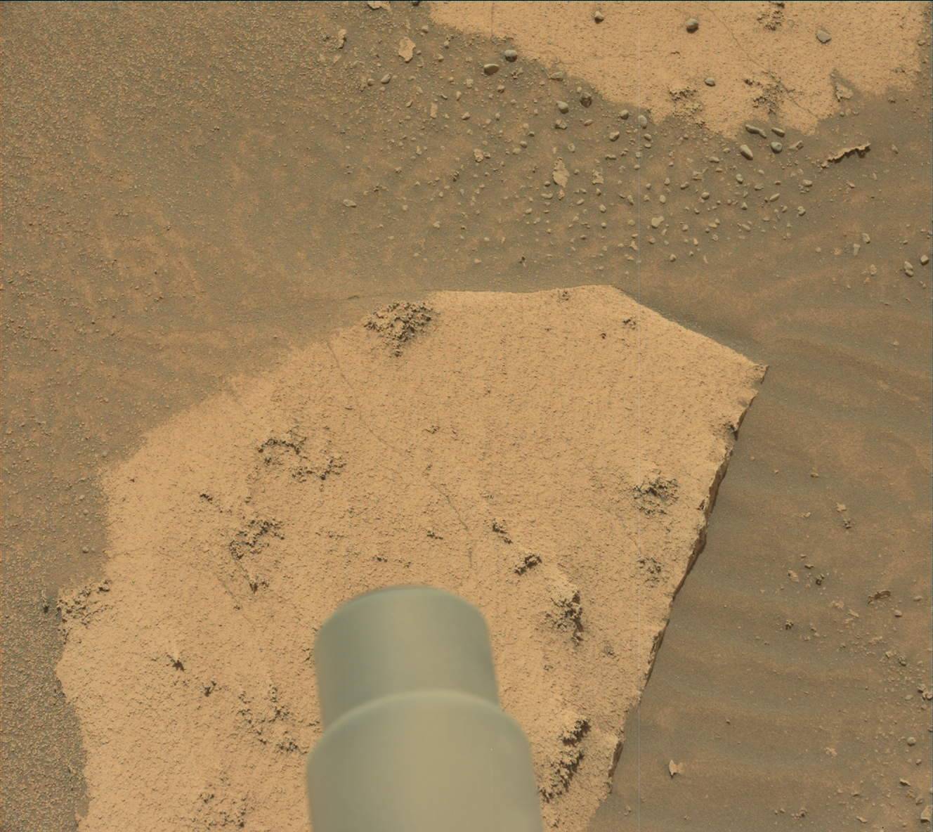 Nasa's Mars rover Curiosity acquired this image using its Mast Camera (Mastcam) on Sol 3579