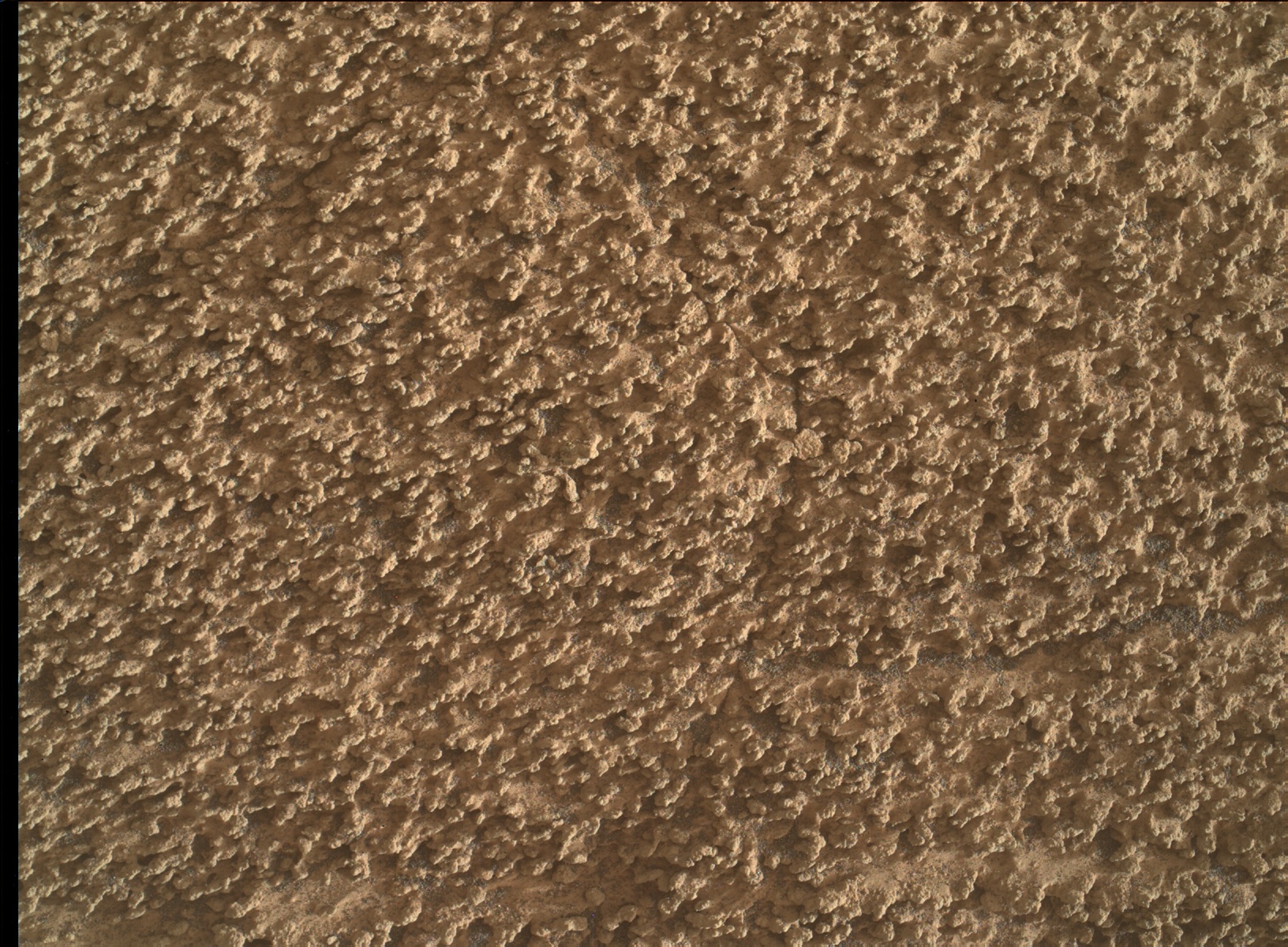 Nasa's Mars rover Curiosity acquired this image using its Mars Hand Lens Imager (MAHLI) on Sol 3583