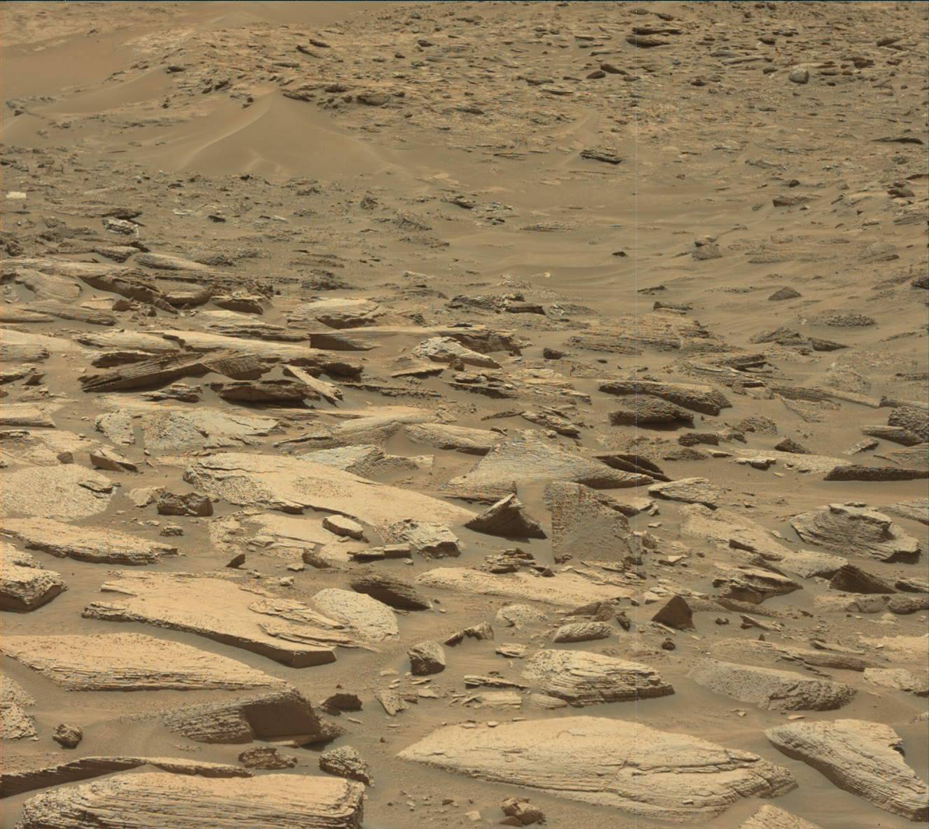 Nasa's Mars rover Curiosity acquired this image using its Mast Camera (Mastcam) on Sol 3601
