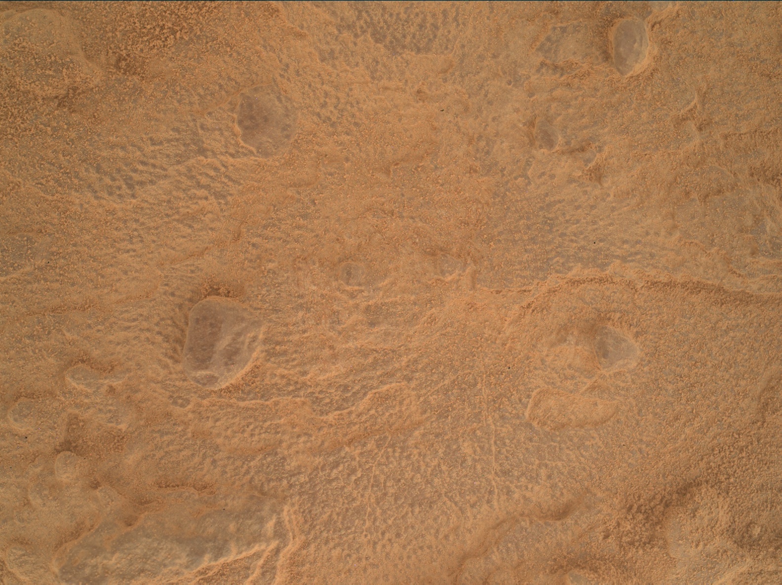 Nasa's Mars rover Curiosity acquired this image using its Mars Hand Lens Imager (MAHLI) on Sol 3601