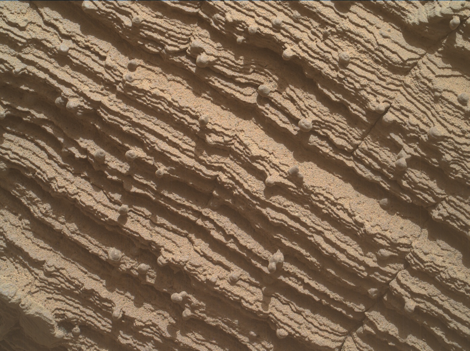 Nasa's Mars rover Curiosity acquired this image using its Mars Hand Lens Imager (MAHLI) on Sol 3605