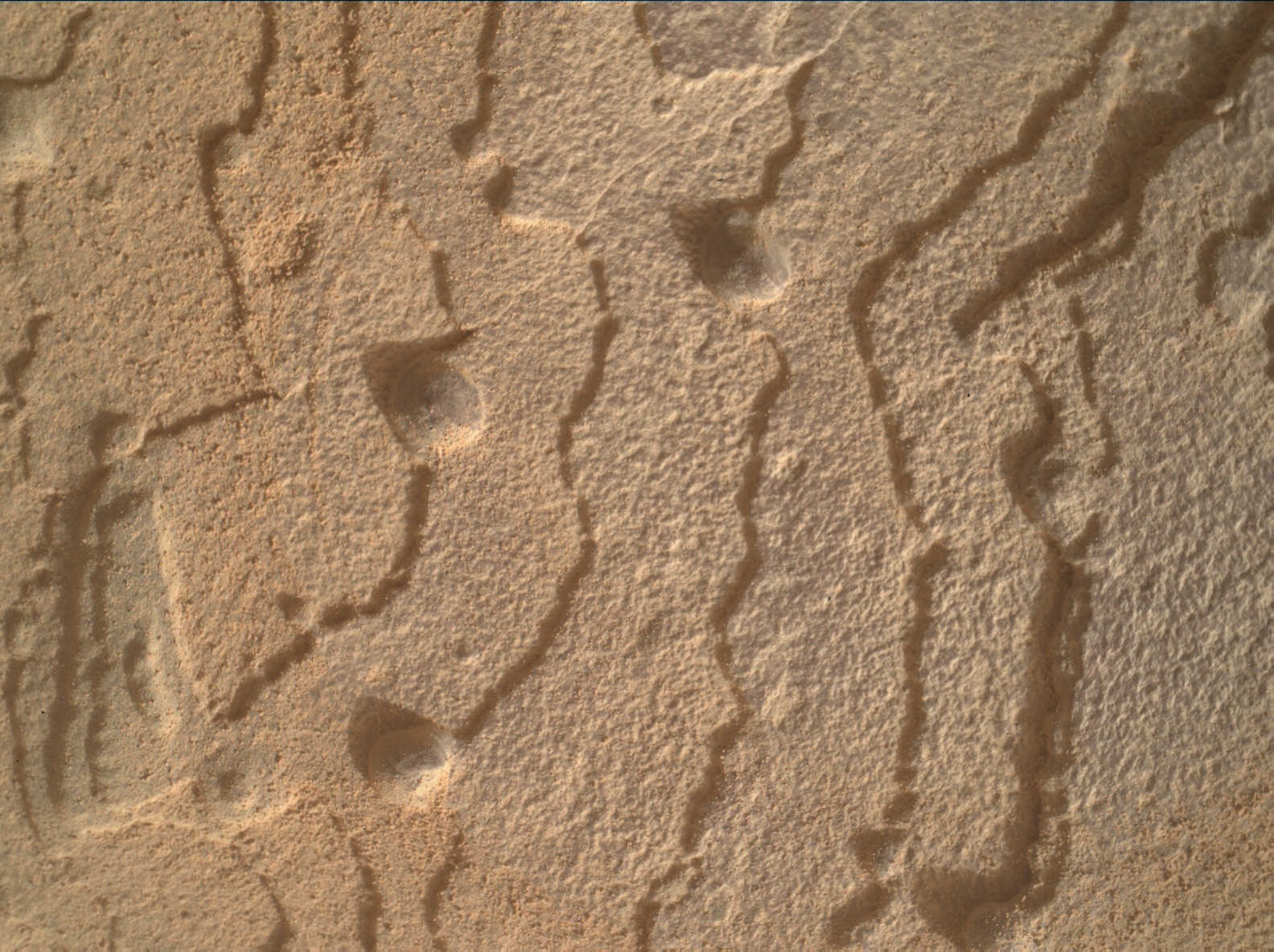 Nasa's Mars rover Curiosity acquired this image using its Mars Hand Lens Imager (MAHLI) on Sol 3609