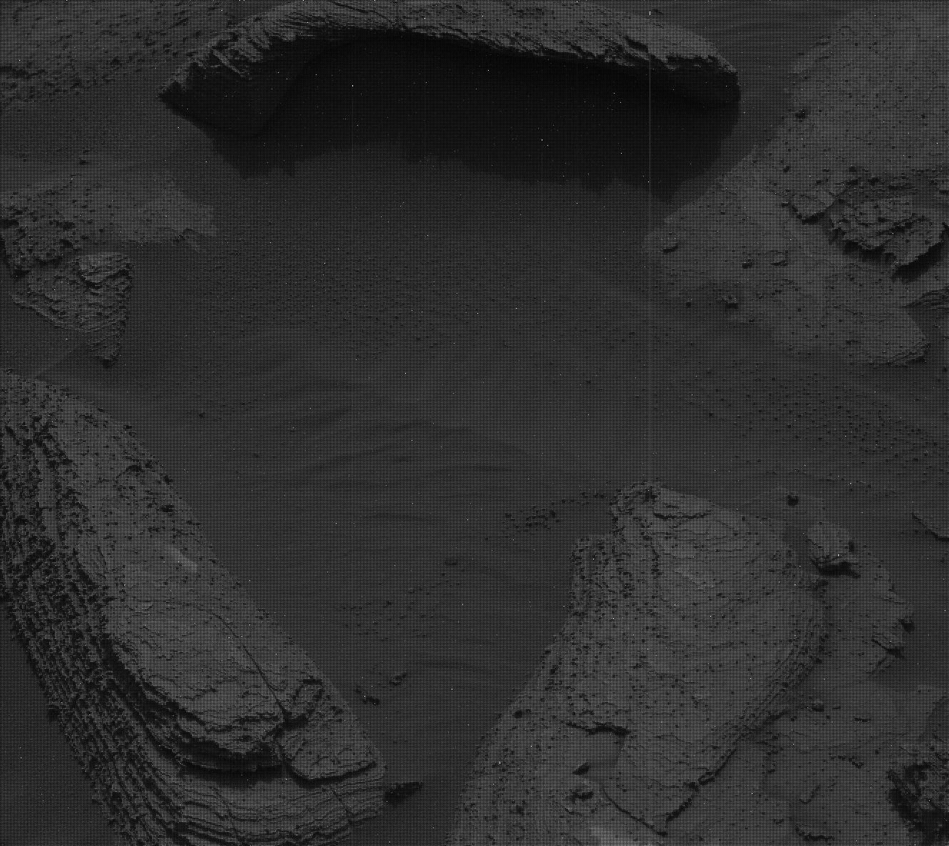 Nasa's Mars rover Curiosity acquired this image using its Mast Camera (Mastcam) on Sol 3616