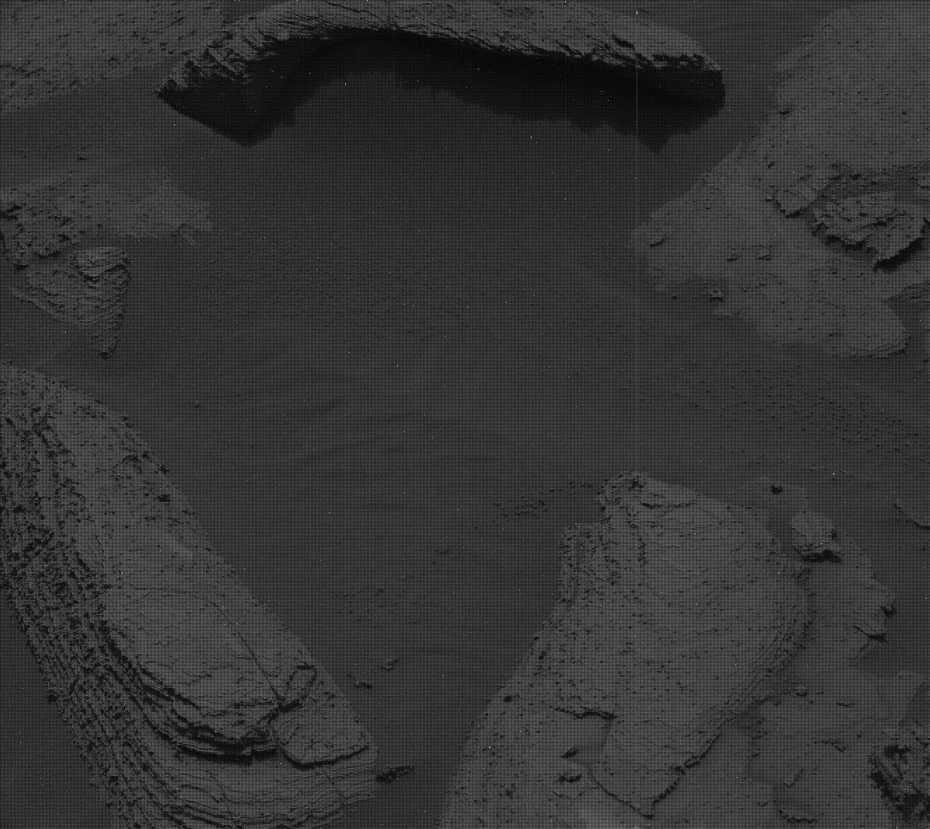 Nasa's Mars rover Curiosity acquired this image using its Mast Camera (Mastcam) on Sol 3617