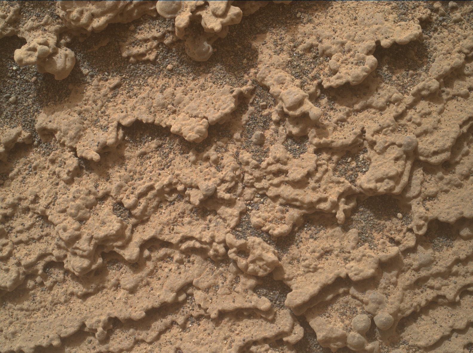 Nasa's Mars rover Curiosity acquired this image using its Mars Hand Lens Imager (MAHLI) on Sol 3628