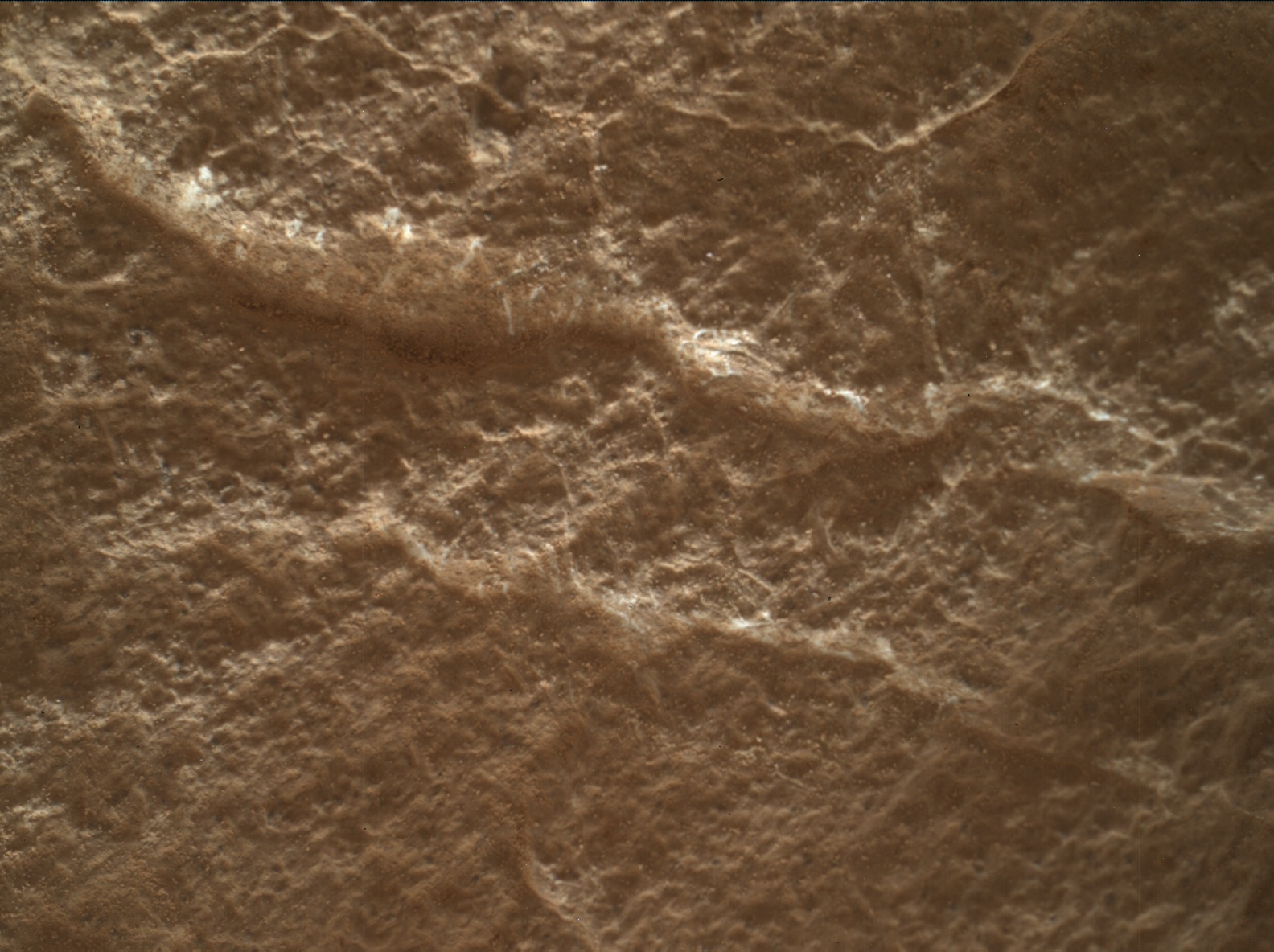 Nasa's Mars rover Curiosity acquired this image using its Mars Hand Lens Imager (MAHLI) on Sol 3657