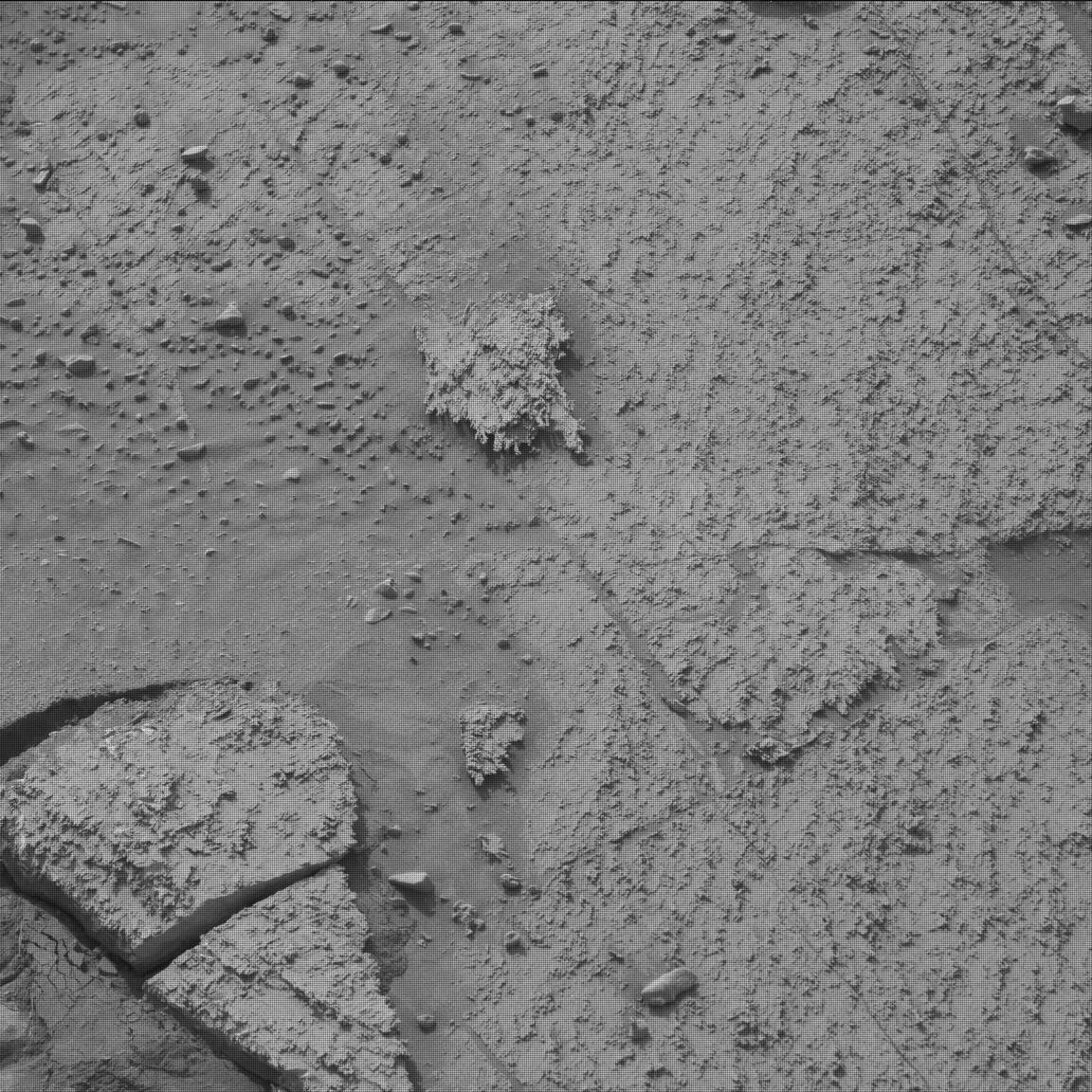 Nasa's Mars rover Curiosity acquired this image using its Mast Camera (Mastcam) on Sol 3665