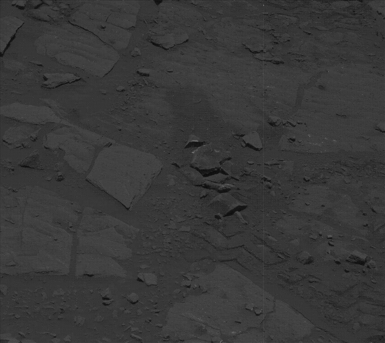 Nasa's Mars rover Curiosity acquired this image using its Mast Camera (Mastcam) on Sol 3669