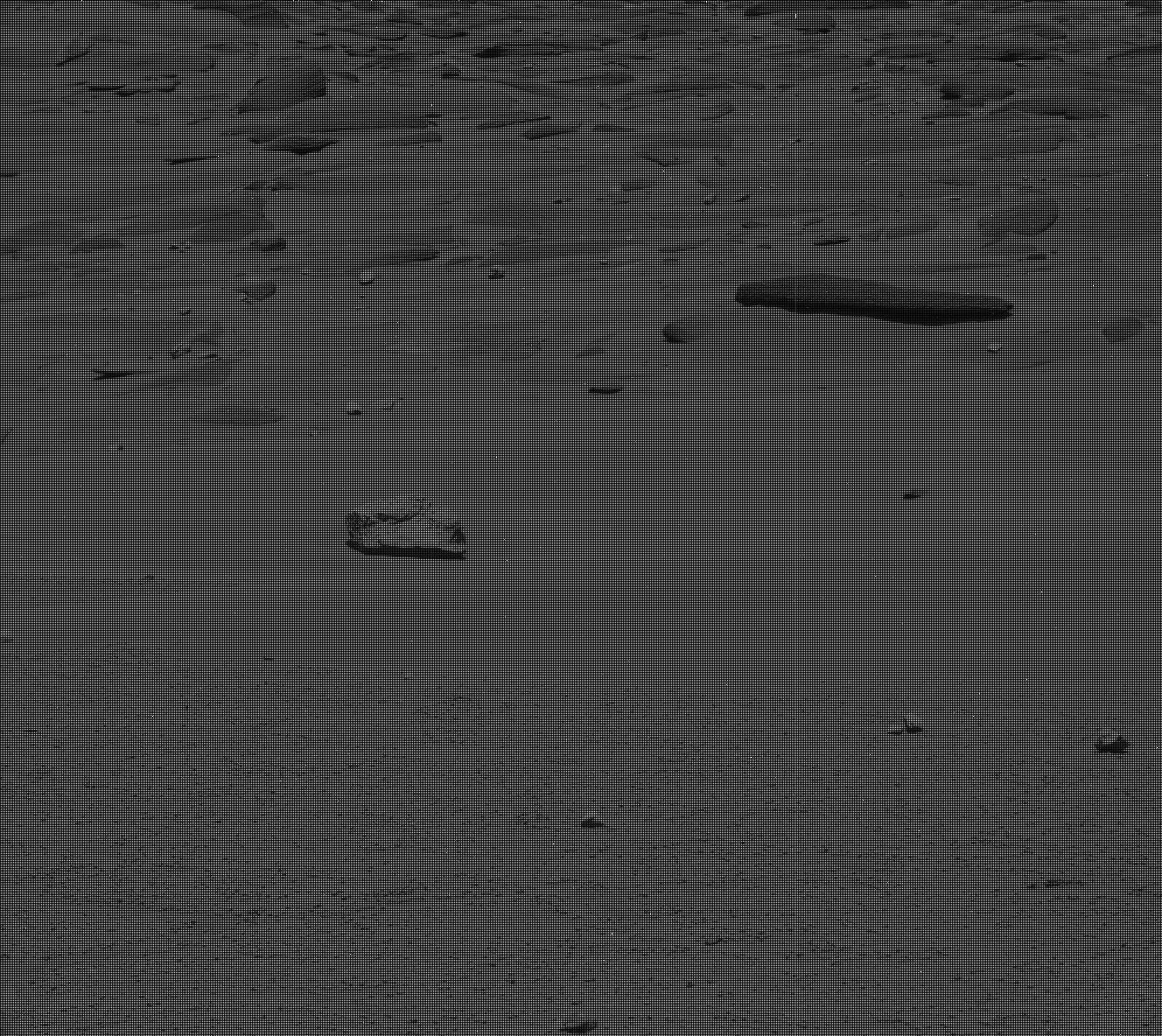 Nasa's Mars rover Curiosity acquired this image using its Mast Camera (Mastcam) on Sol 3747