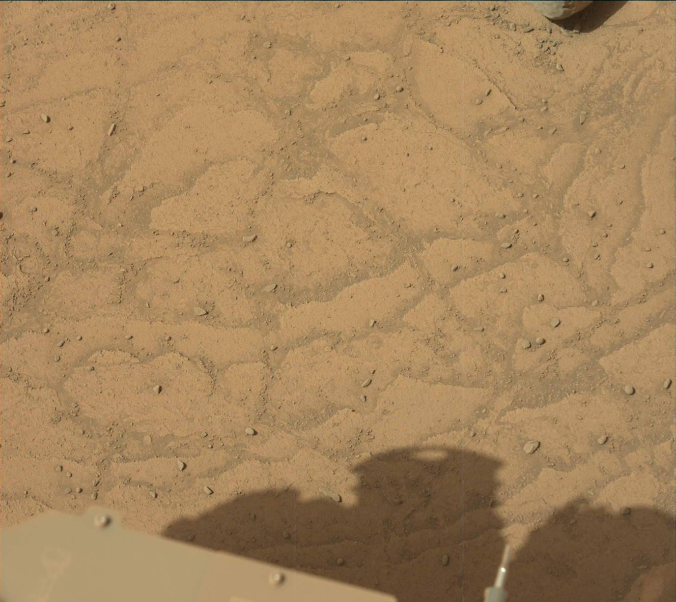 Nasa's Mars rover Curiosity acquired this image using its Mast Camera (Mastcam) on Sol 3749