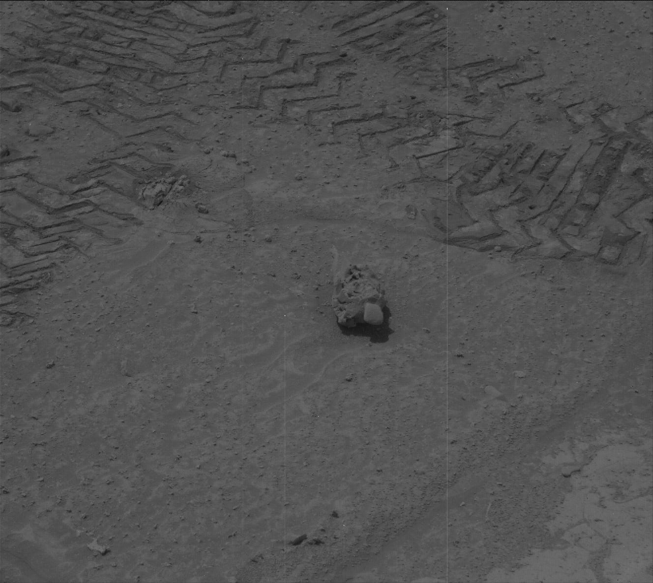 Nasa's Mars rover Curiosity acquired this image using its Mast Camera (Mastcam) on Sol 3762