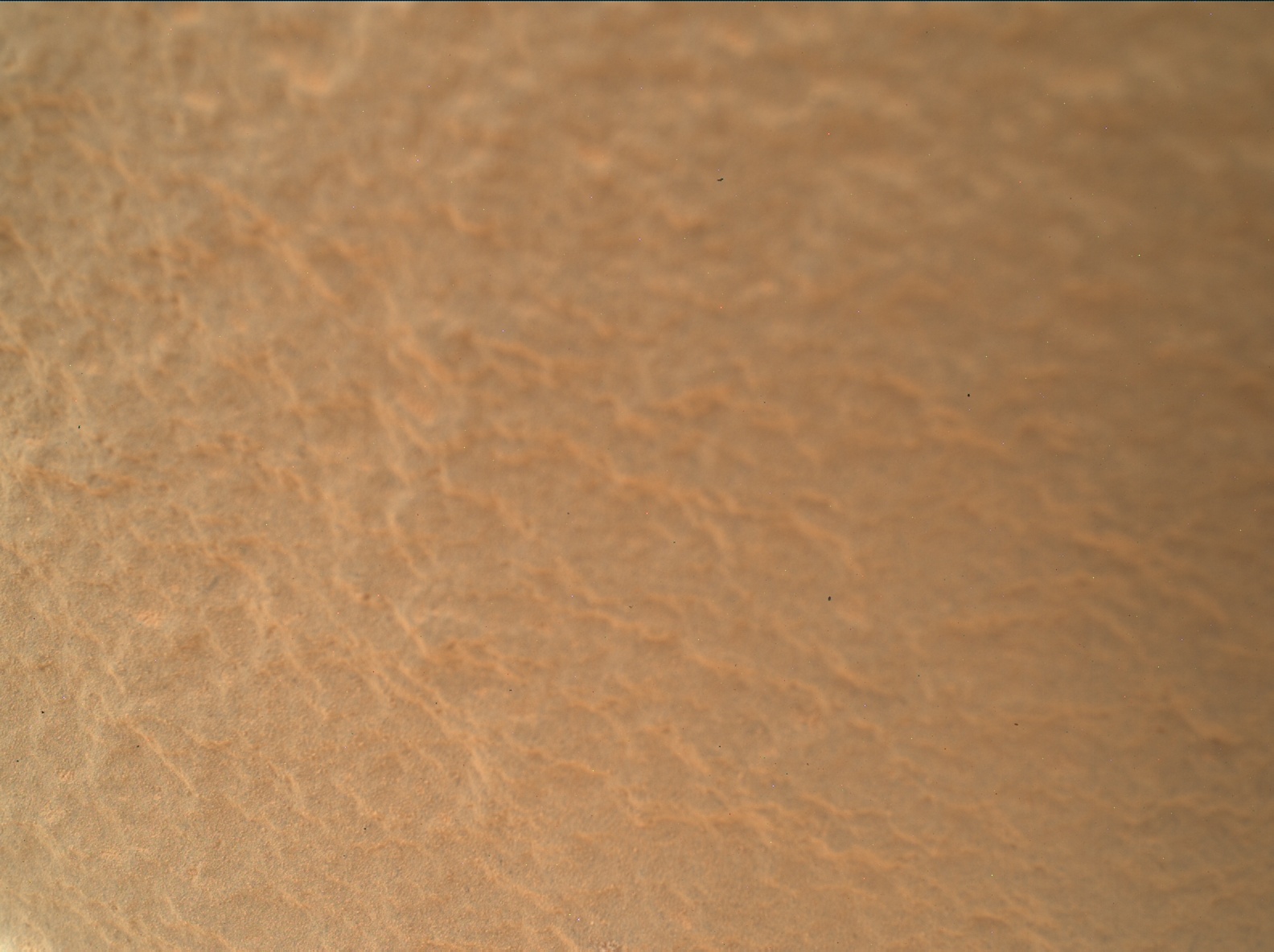 Nasa's Mars rover Curiosity acquired this image using its Mars Hand Lens Imager (MAHLI) on Sol 3771