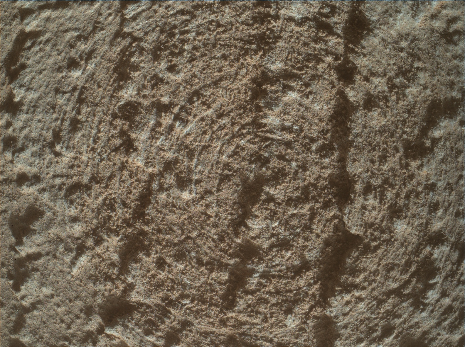 Nasa's Mars rover Curiosity acquired this image using its Mars Hand Lens Imager (MAHLI) on Sol 3774