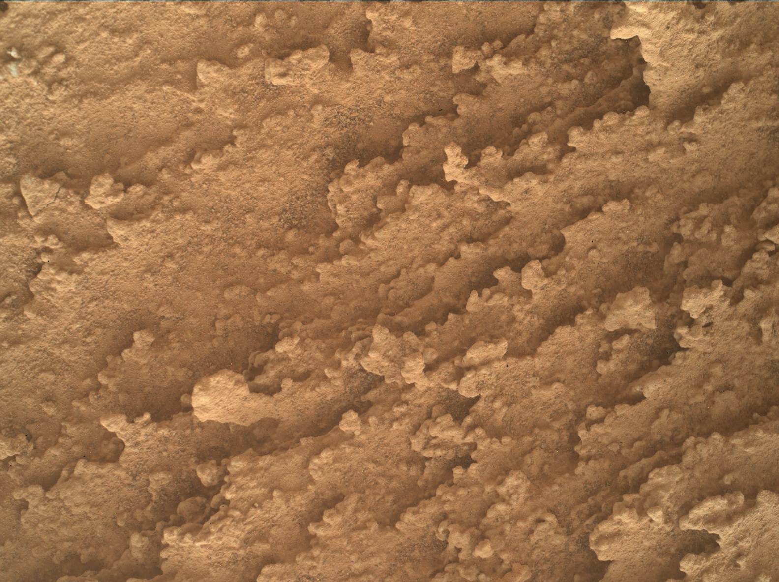 Nasa's Mars rover Curiosity acquired this image using its Mars Hand Lens Imager (MAHLI) on Sol 3780